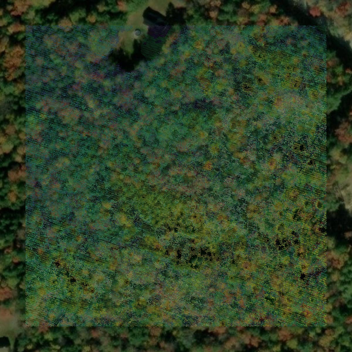 This image shows a LiDAR point cloud in Strafford County created using GIS data in Equator.