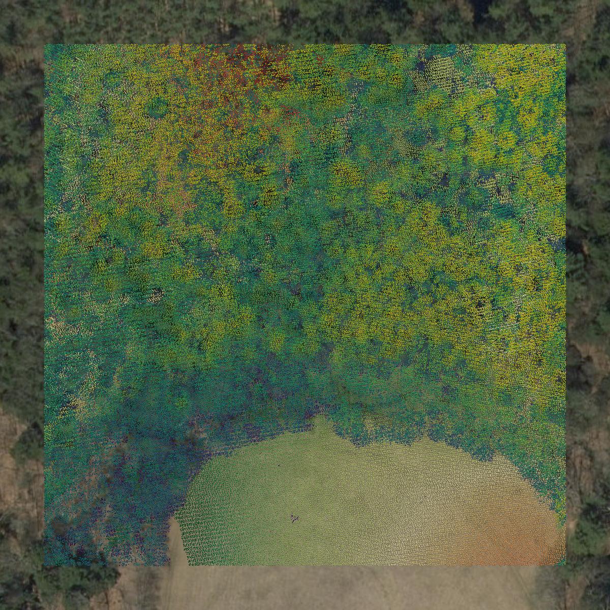 This image shows a LiDAR point cloud in Sullivan County created using GIS data in Equator.