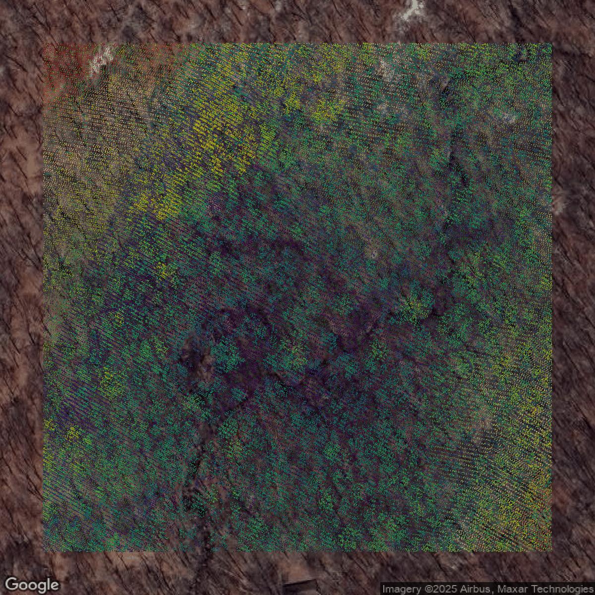 This image shows a LiDAR point cloud in Bergen County created using GIS data in Equator.