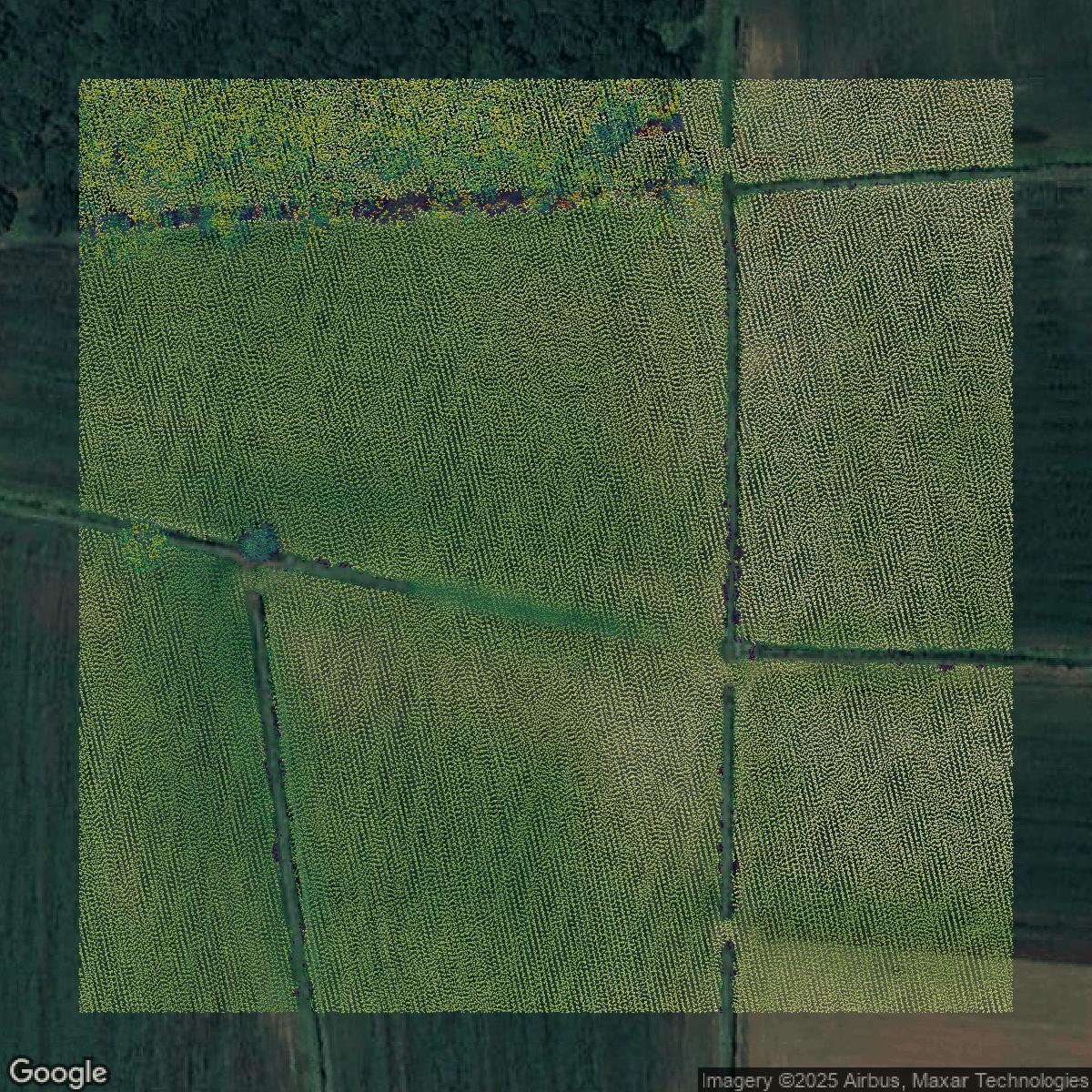 This image shows a LiDAR point cloud in Burlington County created using GIS data in Equator.