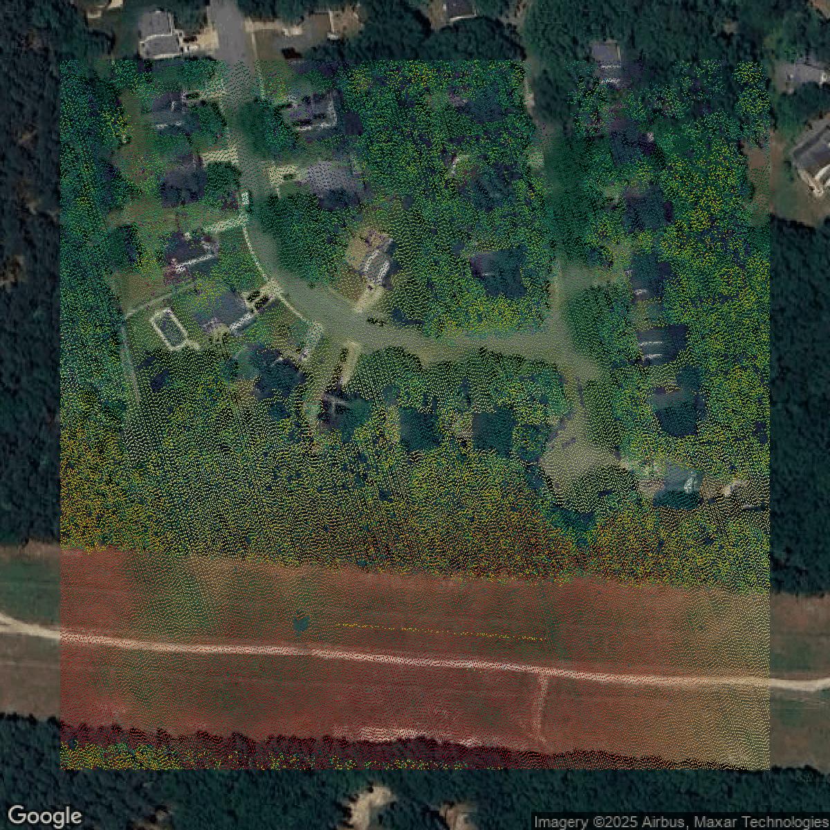 This image shows a LiDAR point cloud in Camden County created using GIS data in Equator.