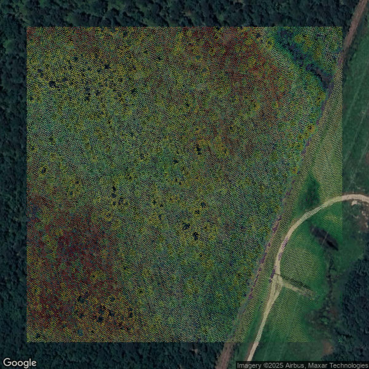 This image shows a LiDAR point cloud in Camden County created using GIS data in Equator.