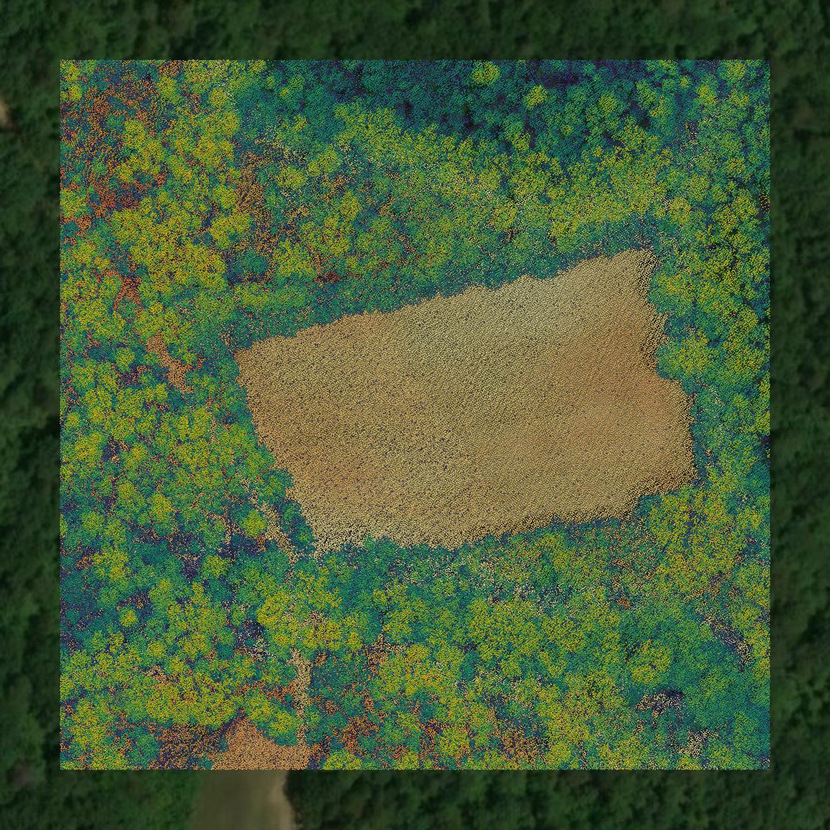 This image shows a LiDAR point cloud in Cape May County created using GIS data in Equator.