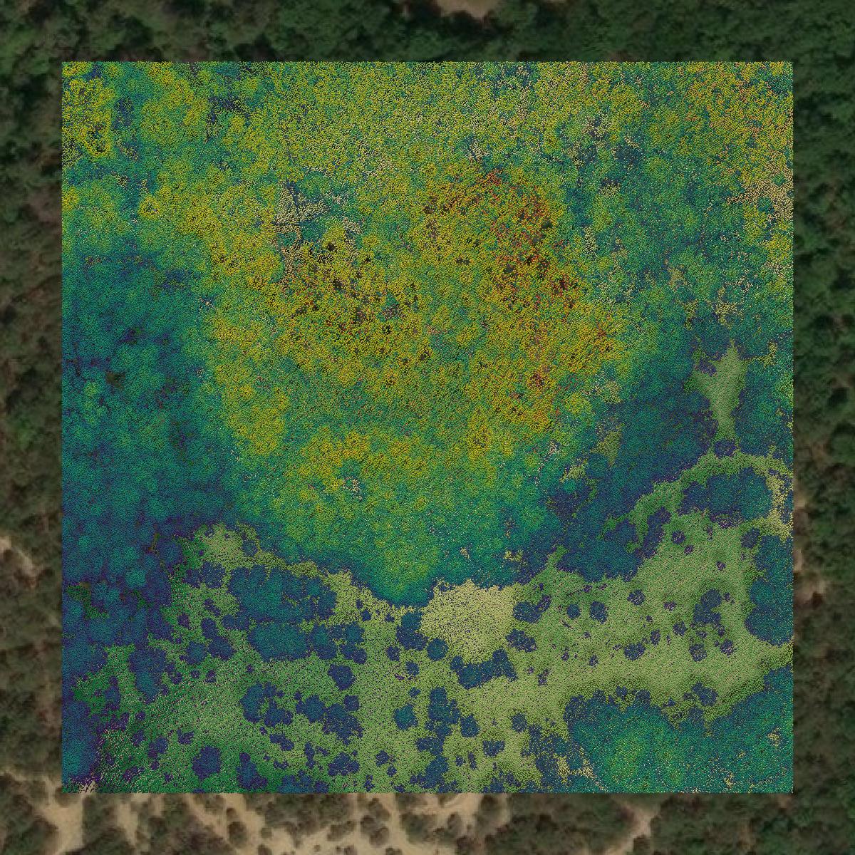 This image shows a LiDAR point cloud in Cumberland County created using GIS data in Equator.