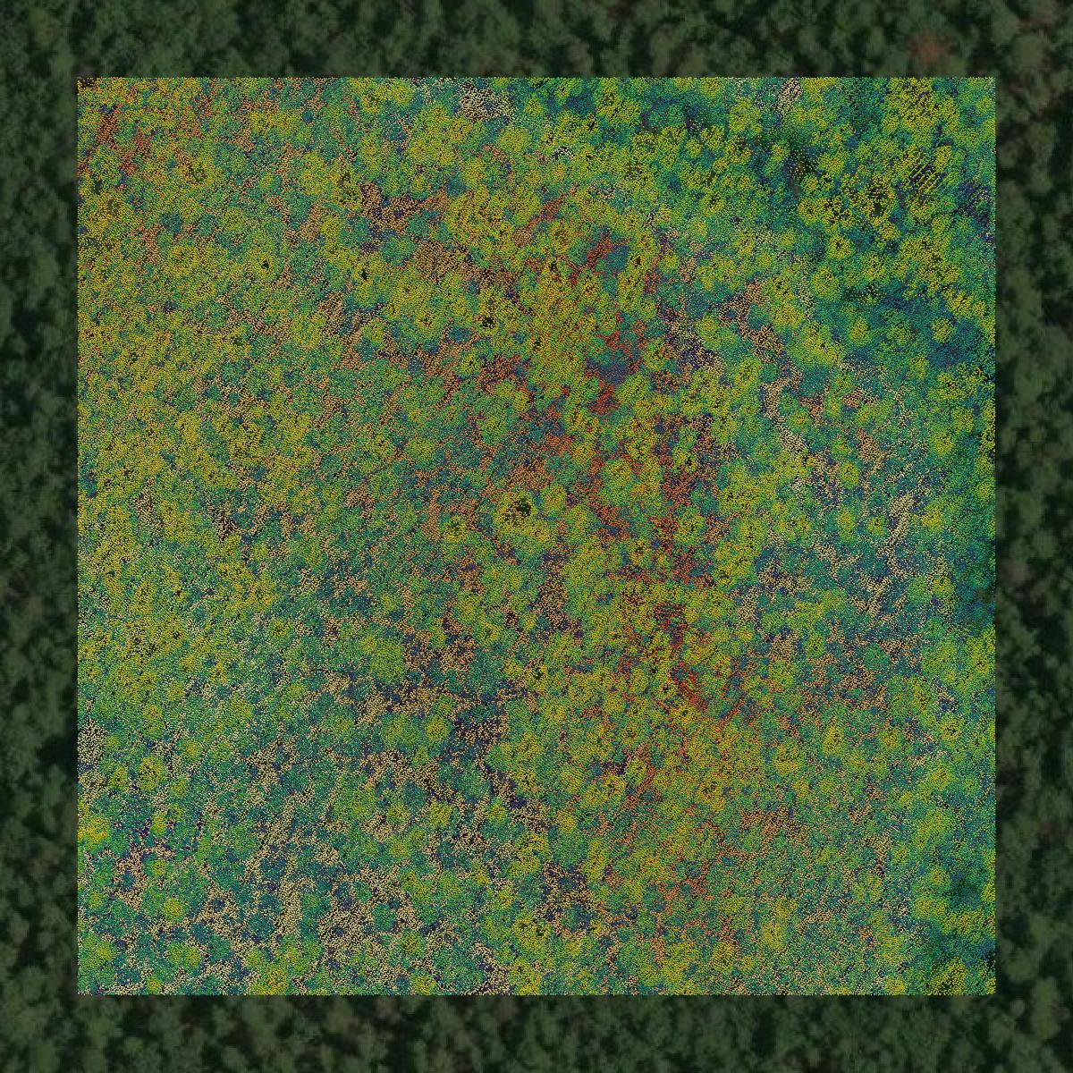 This image shows a LiDAR point cloud in Cumberland County created using GIS data in Equator.