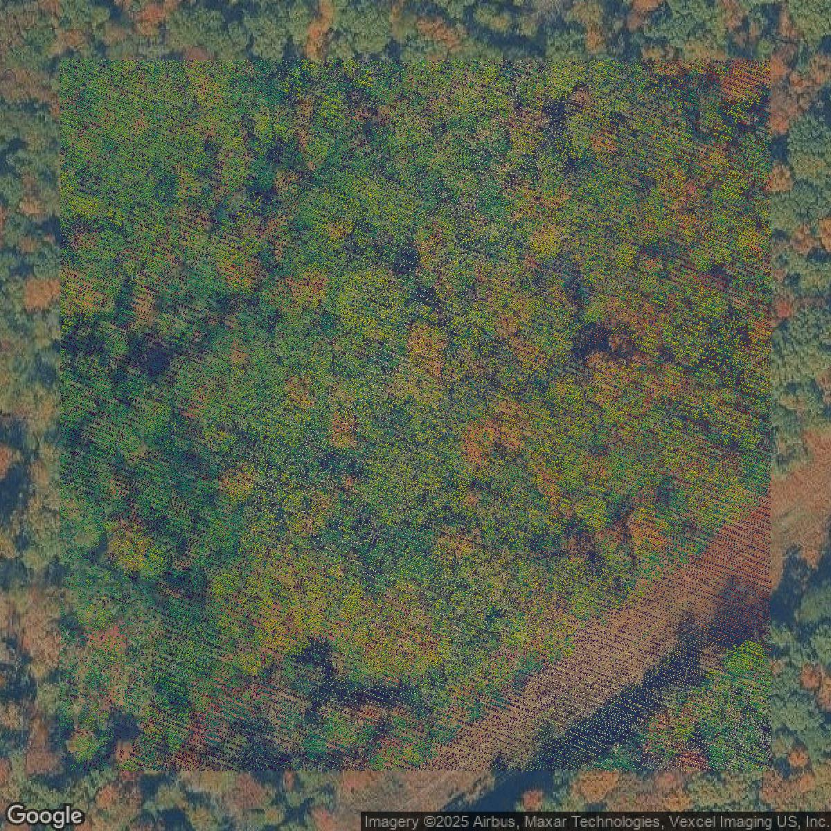 This image shows a LiDAR point cloud in Essex County created using GIS data in Equator.