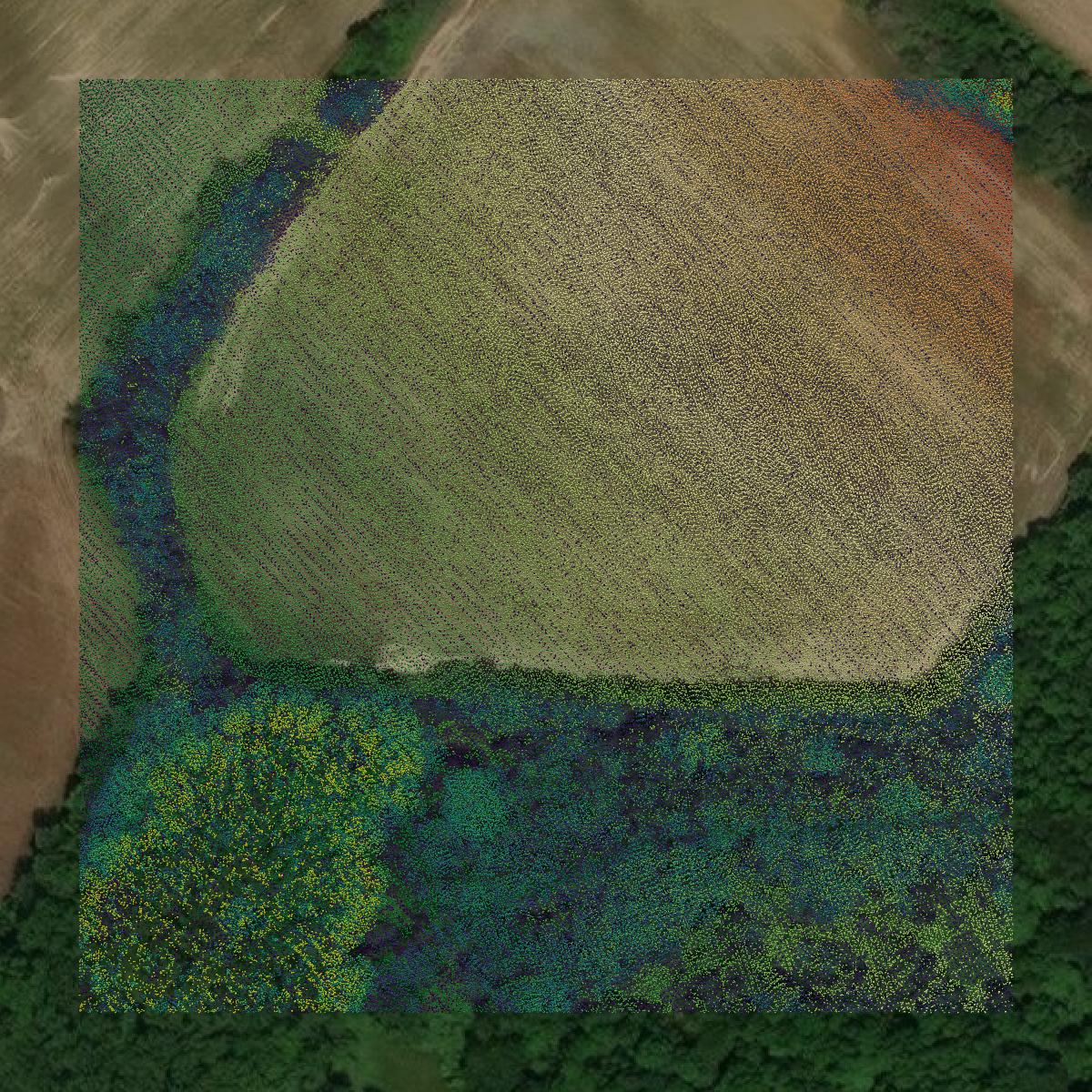 This image shows a LiDAR point cloud in Gloucester County created using GIS data in Equator.