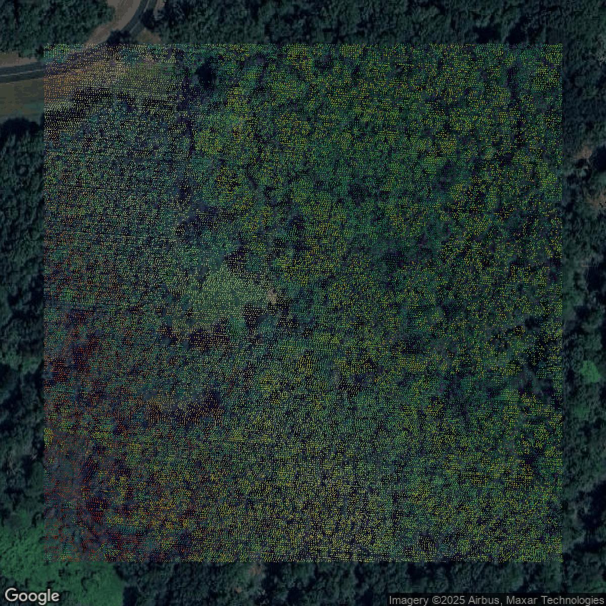 This image shows a LiDAR point cloud in Middlesex County created using GIS data in Equator.