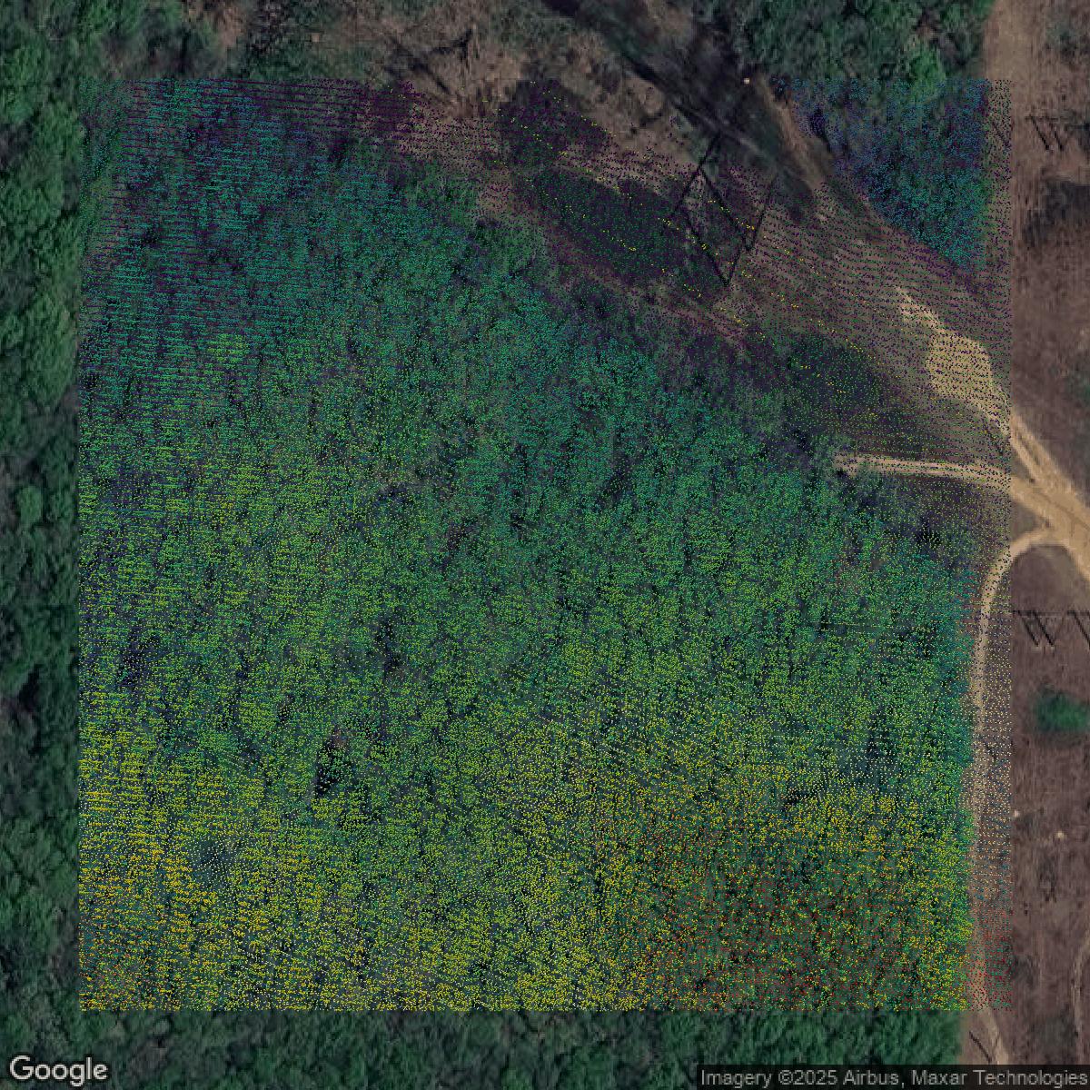 This image shows a LiDAR point cloud in Middlesex County created using GIS data in Equator.