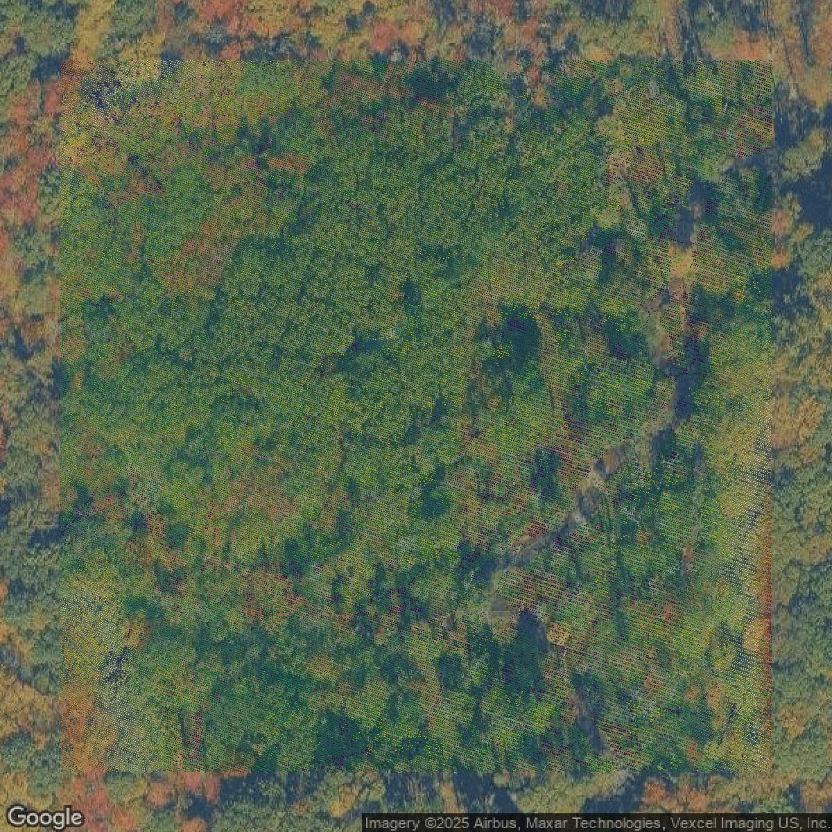 This image shows a LiDAR point cloud in Morris County created using GIS data in Equator.