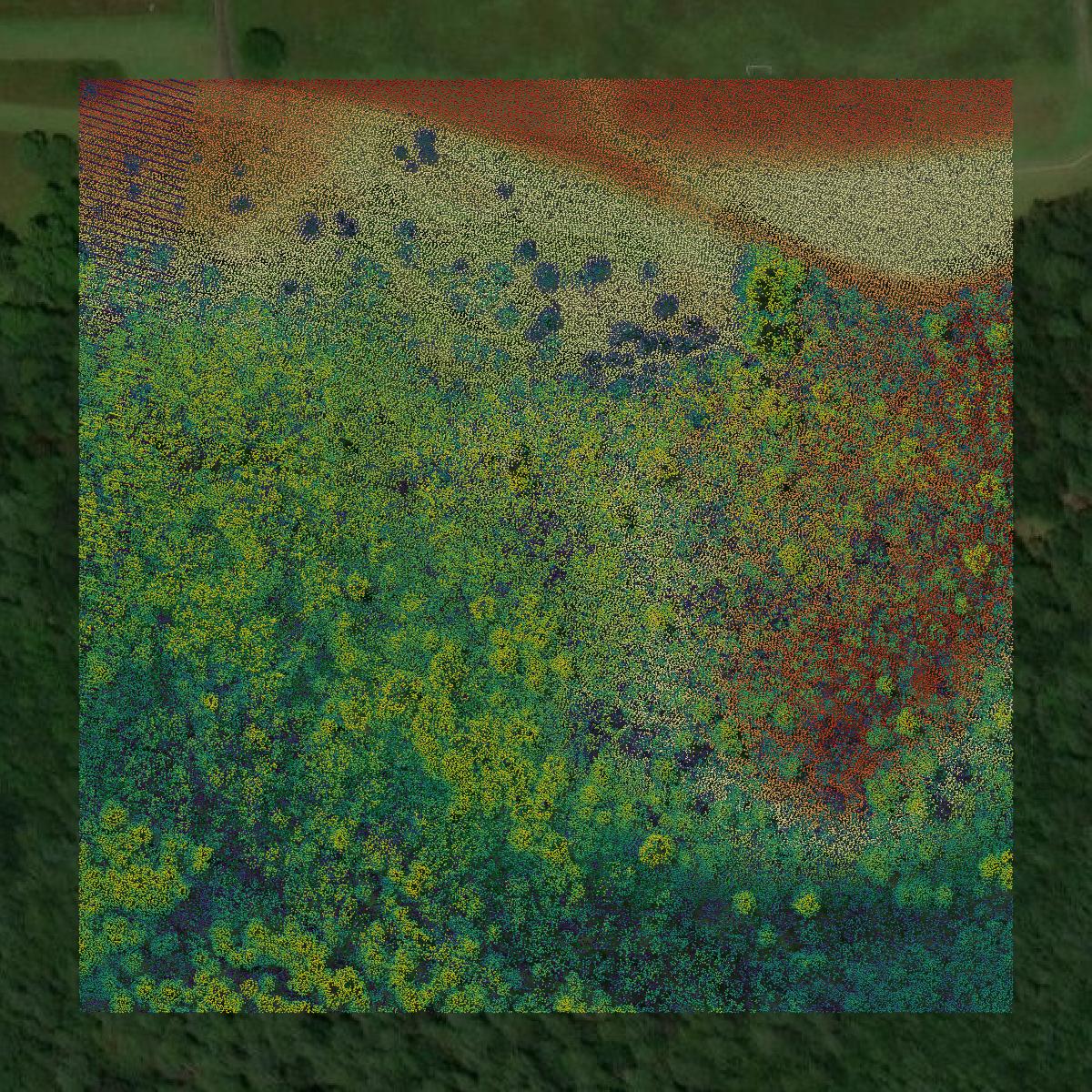 This image shows a LiDAR point cloud in Ocean County created using GIS data in Equator.