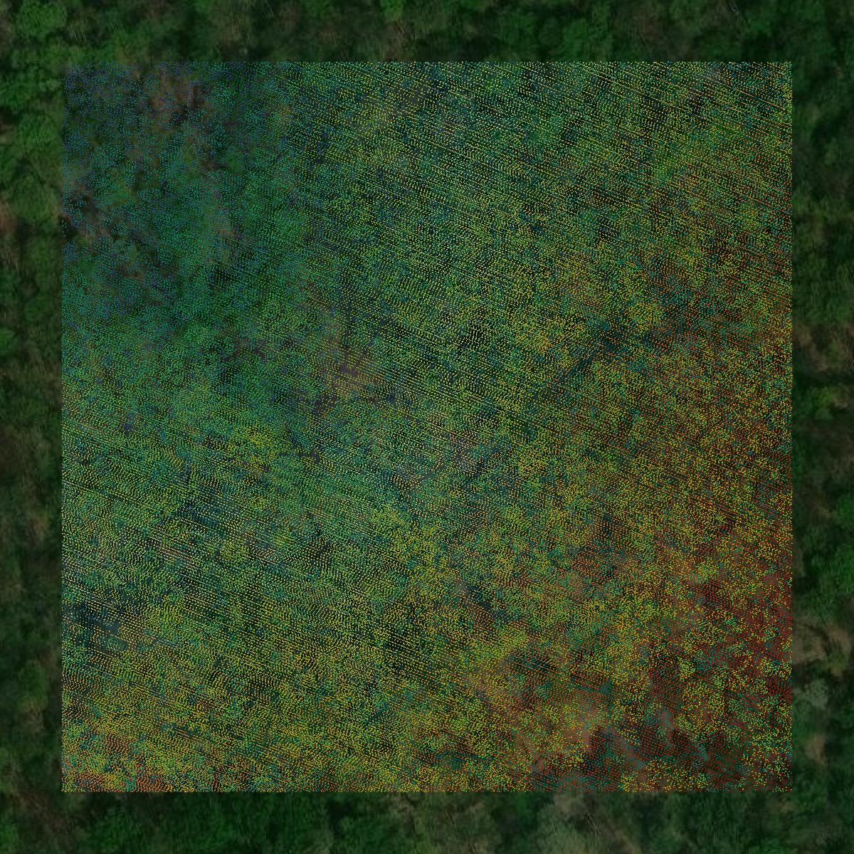 This image shows a LiDAR point cloud in Somerset County created using GIS data in Equator.