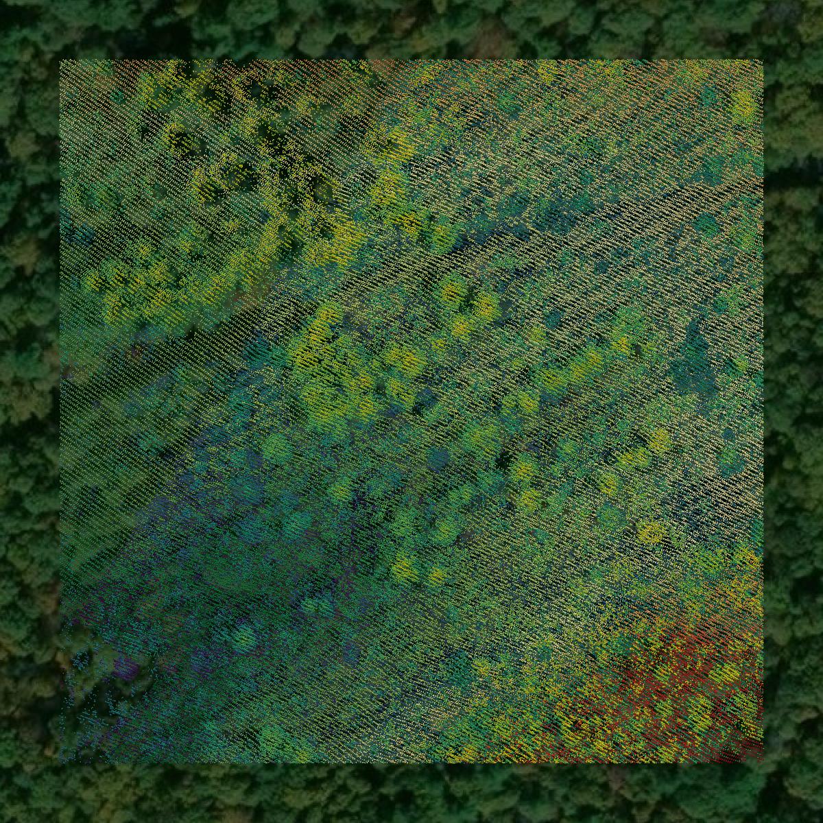 This image shows a LiDAR point cloud in Sussex County created using GIS data in Equator.