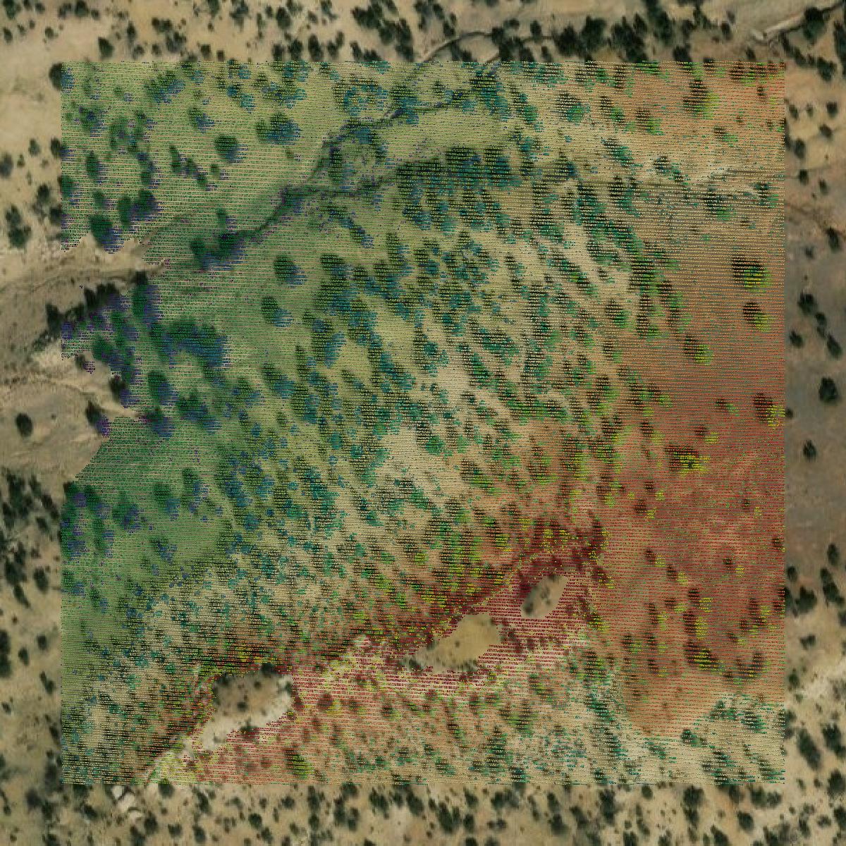 This image shows a LiDAR point cloud in Catron County created using GIS data in Equator.