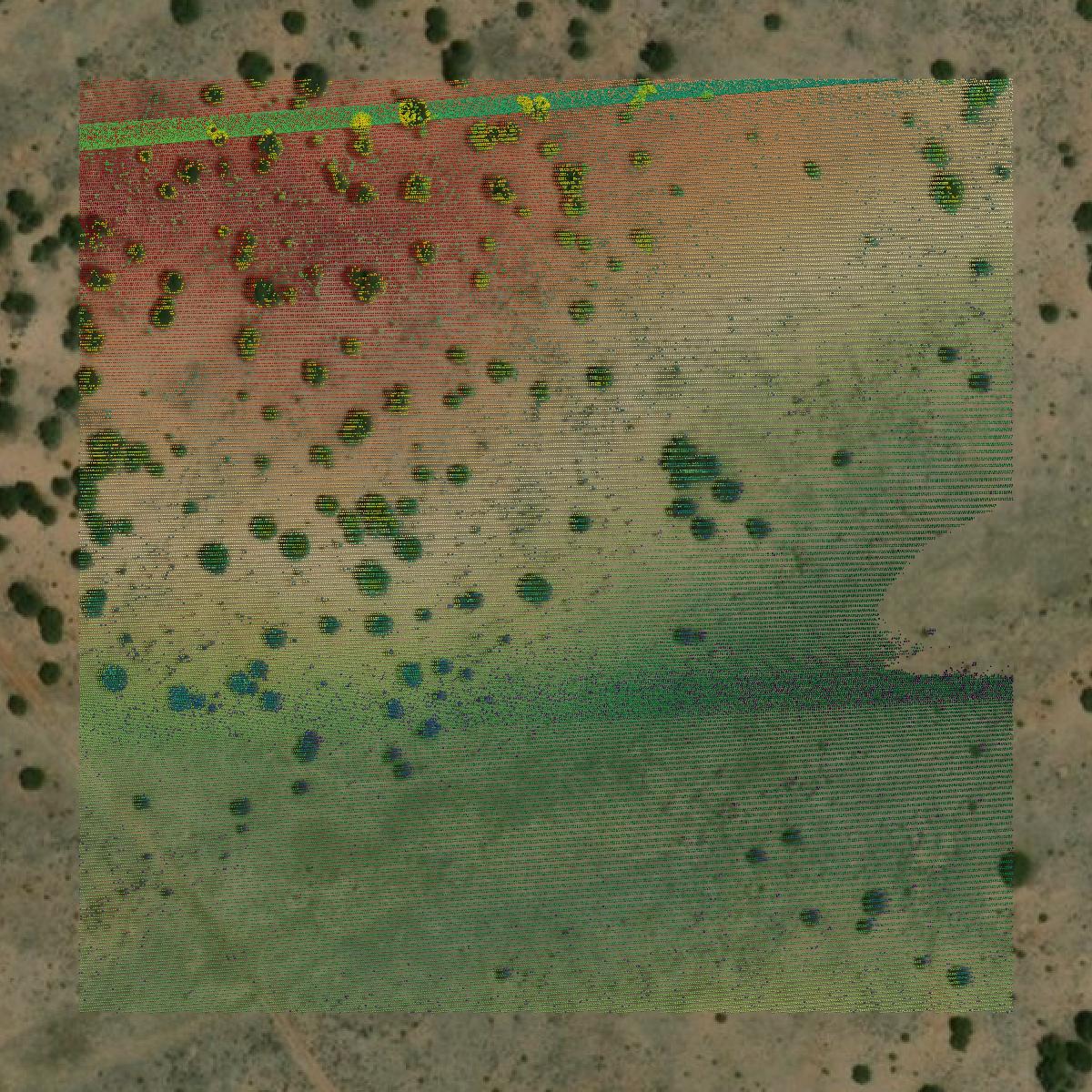 This image shows a LiDAR point cloud in Catron County created using GIS data in Equator.