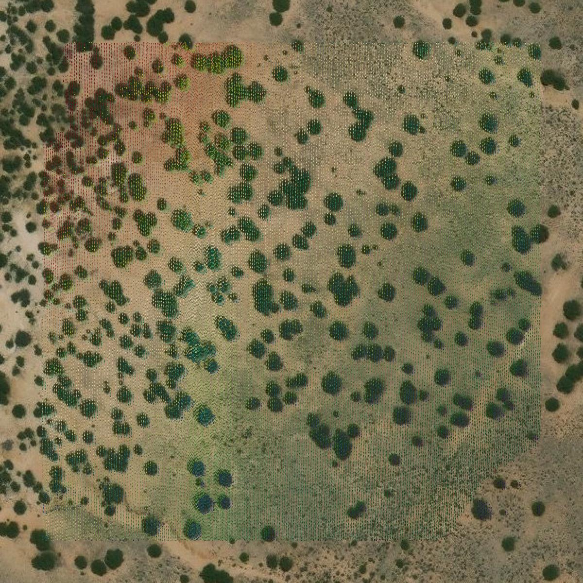 This image shows a LiDAR point cloud in Cibola County created using GIS data in Equator.