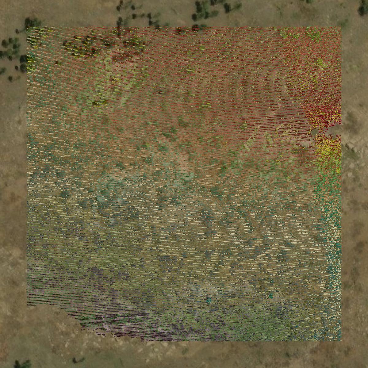 This image shows a LiDAR point cloud in Colfax County created using GIS data in Equator.