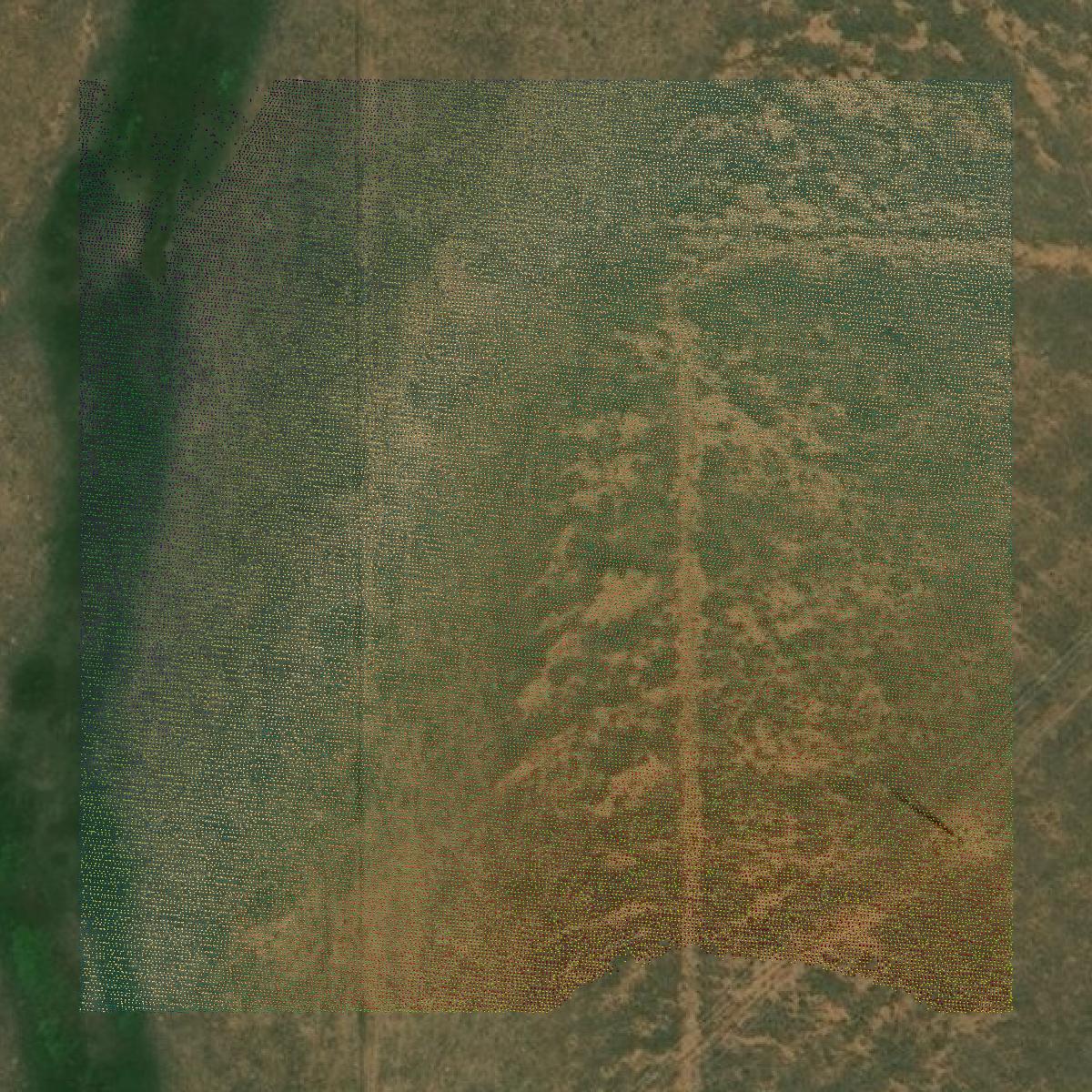 This image shows a LiDAR point cloud in Curry County created using GIS data in Equator.