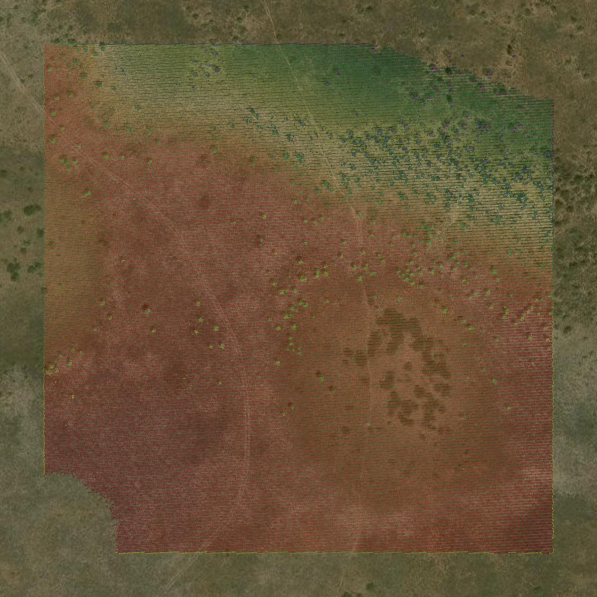 This image shows a LiDAR point cloud in De Baca County created using GIS data in Equator.