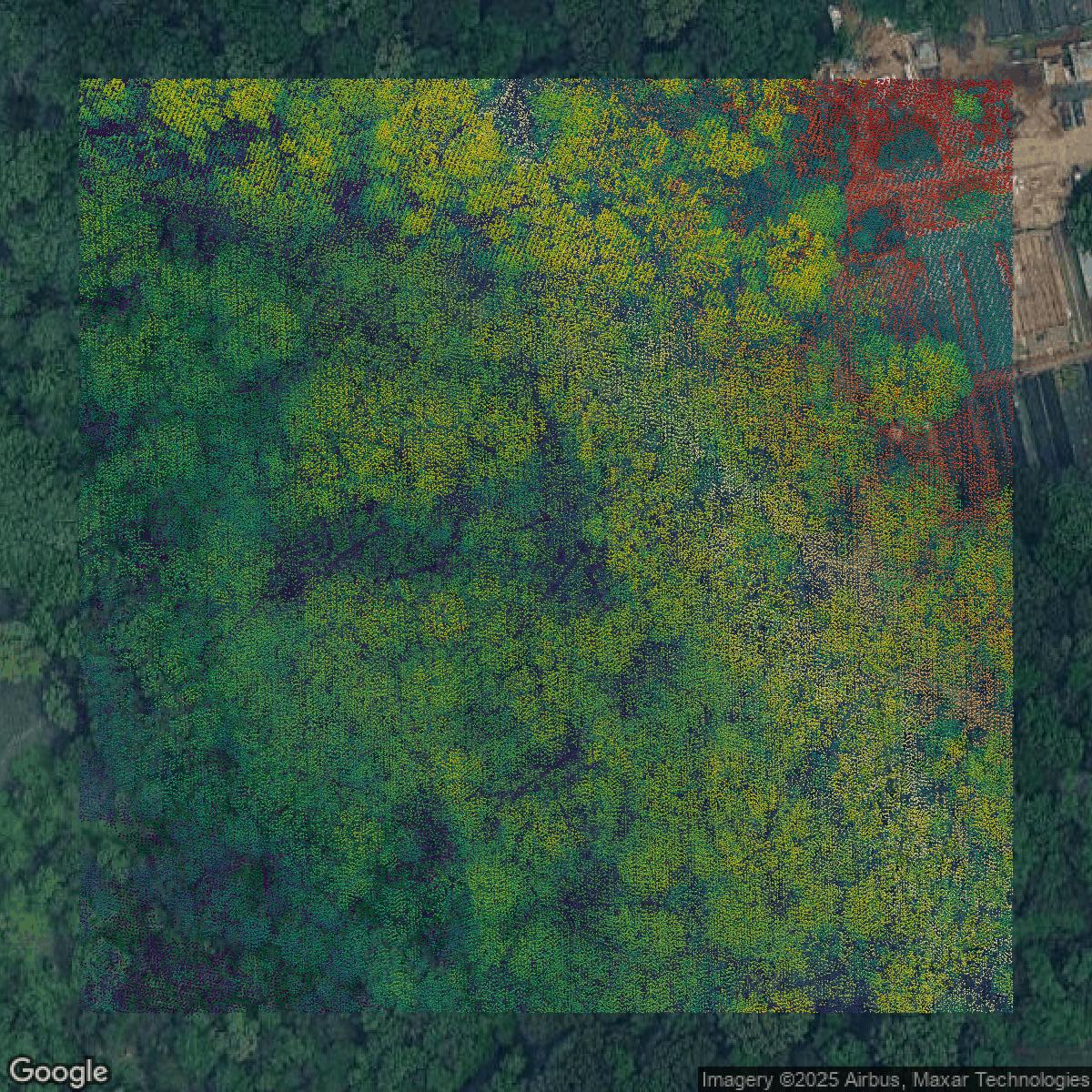 This image shows a LiDAR point cloud in Bronx County created using GIS data in Equator.