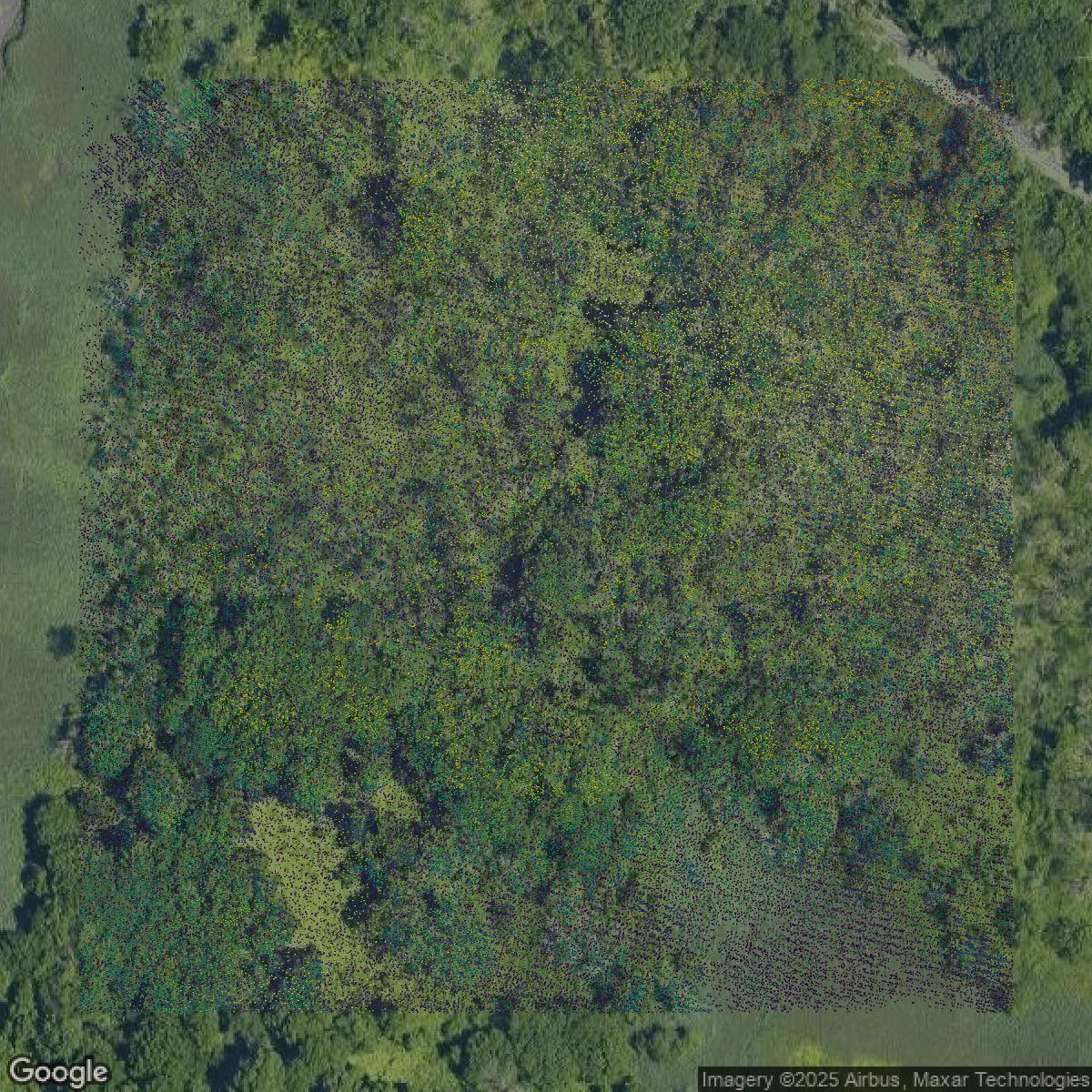 This image shows a LiDAR point cloud in Richmond County created using GIS data in Equator.