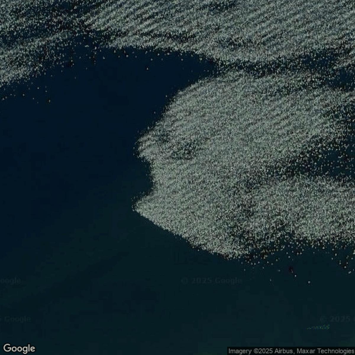 This image shows a LiDAR point cloud in Suffolk County created using GIS data in Equator.