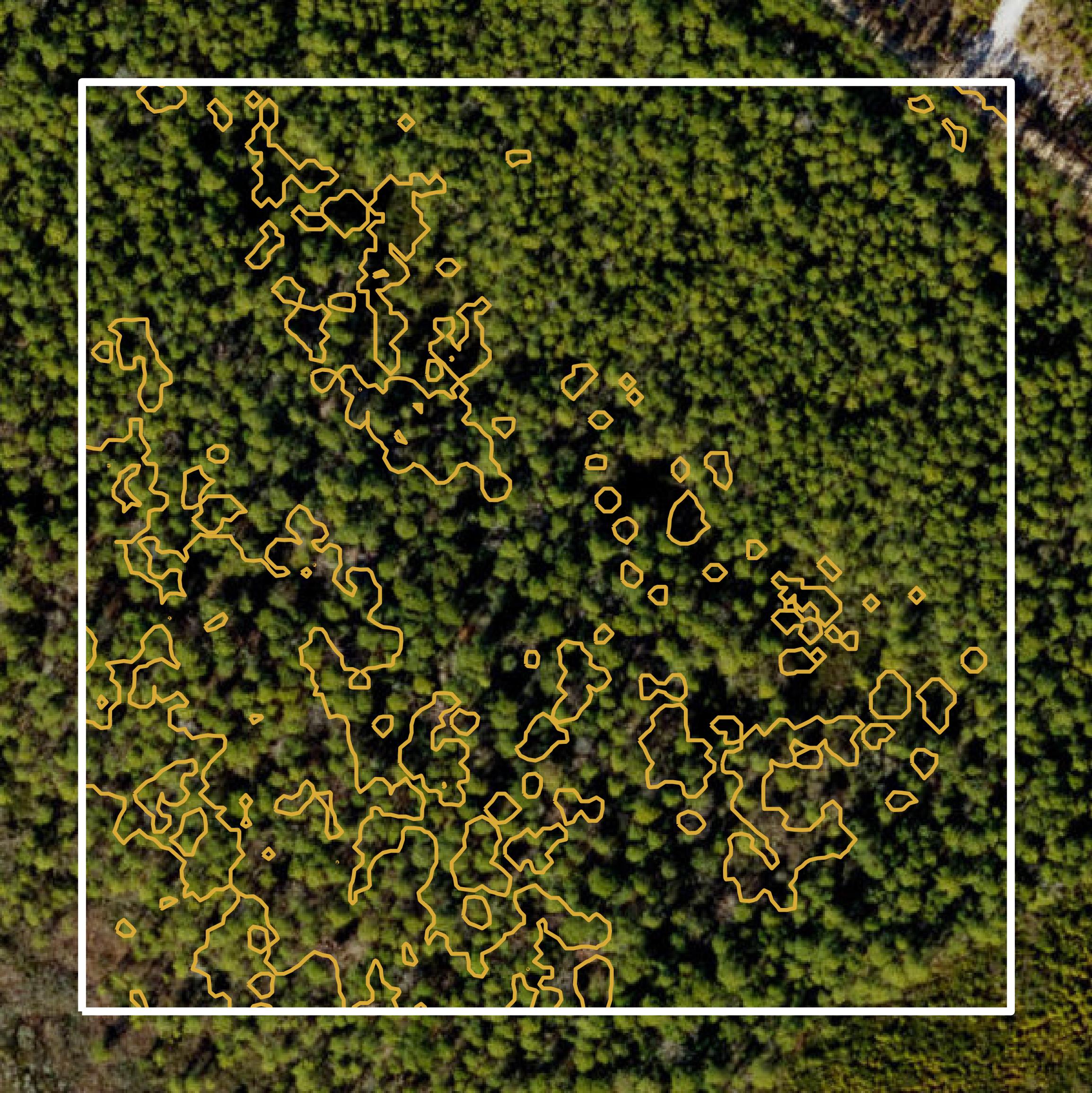 This image shows a contour map in Bladen County created using GIS data in Equator.