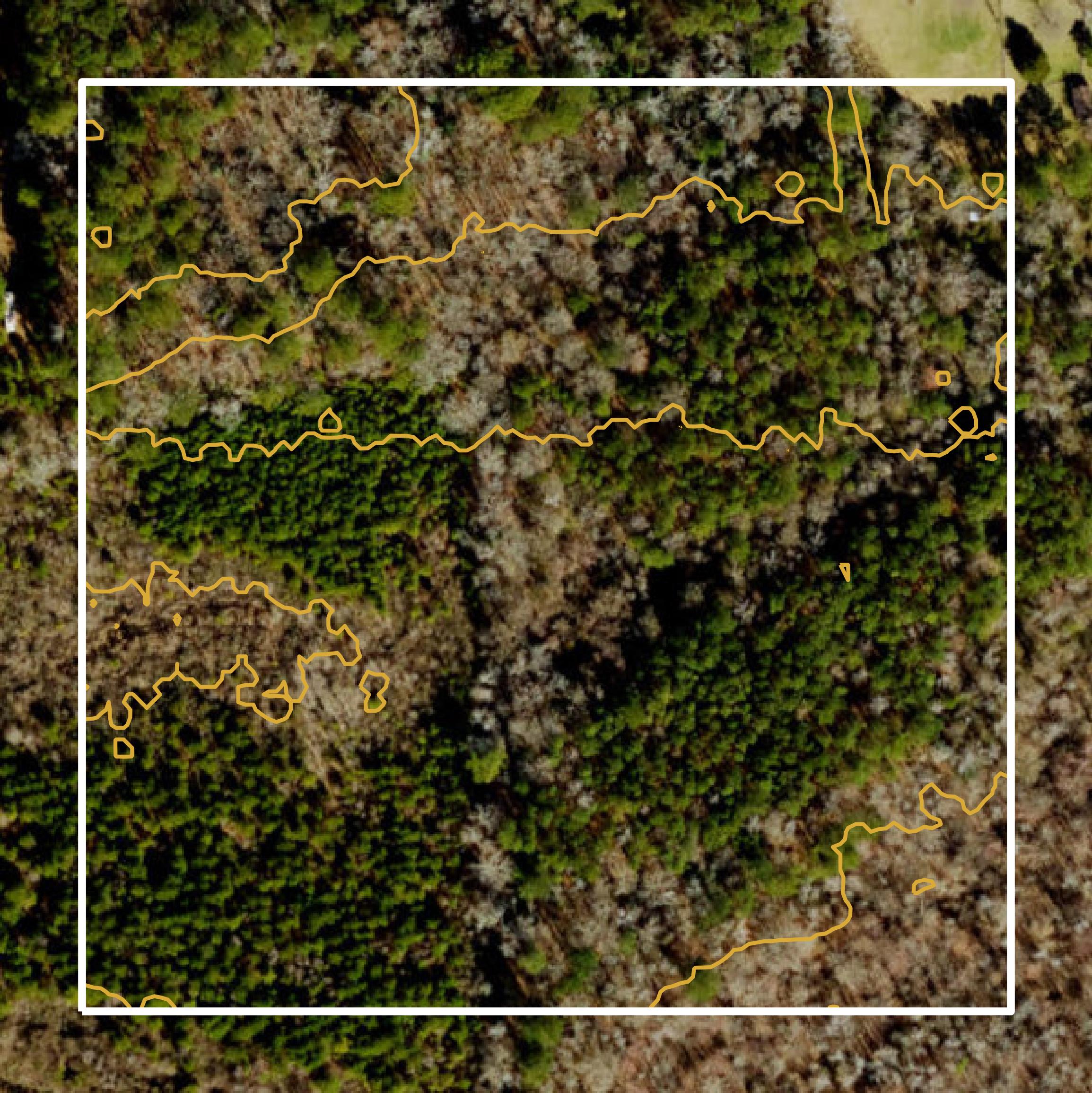 This image shows a contour map in Bladen County created using GIS data in Equator.