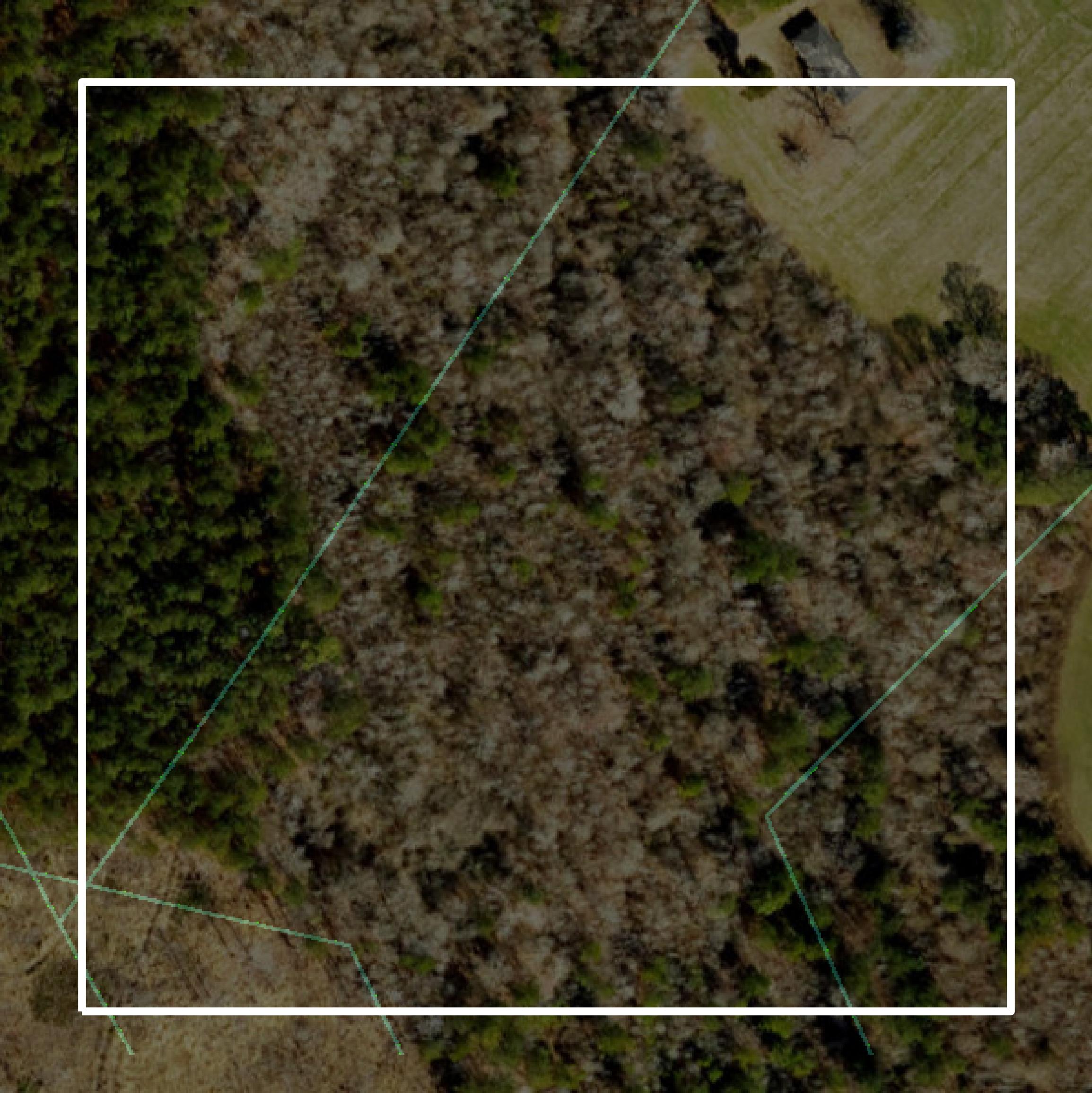This image shows parcel and building data in Bladen County created using GIS data in Equator.