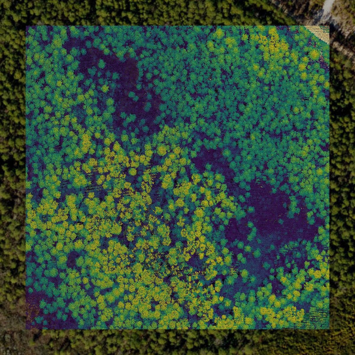 This image shows a LiDAR point cloud in Bladen County created using GIS data in Equator.