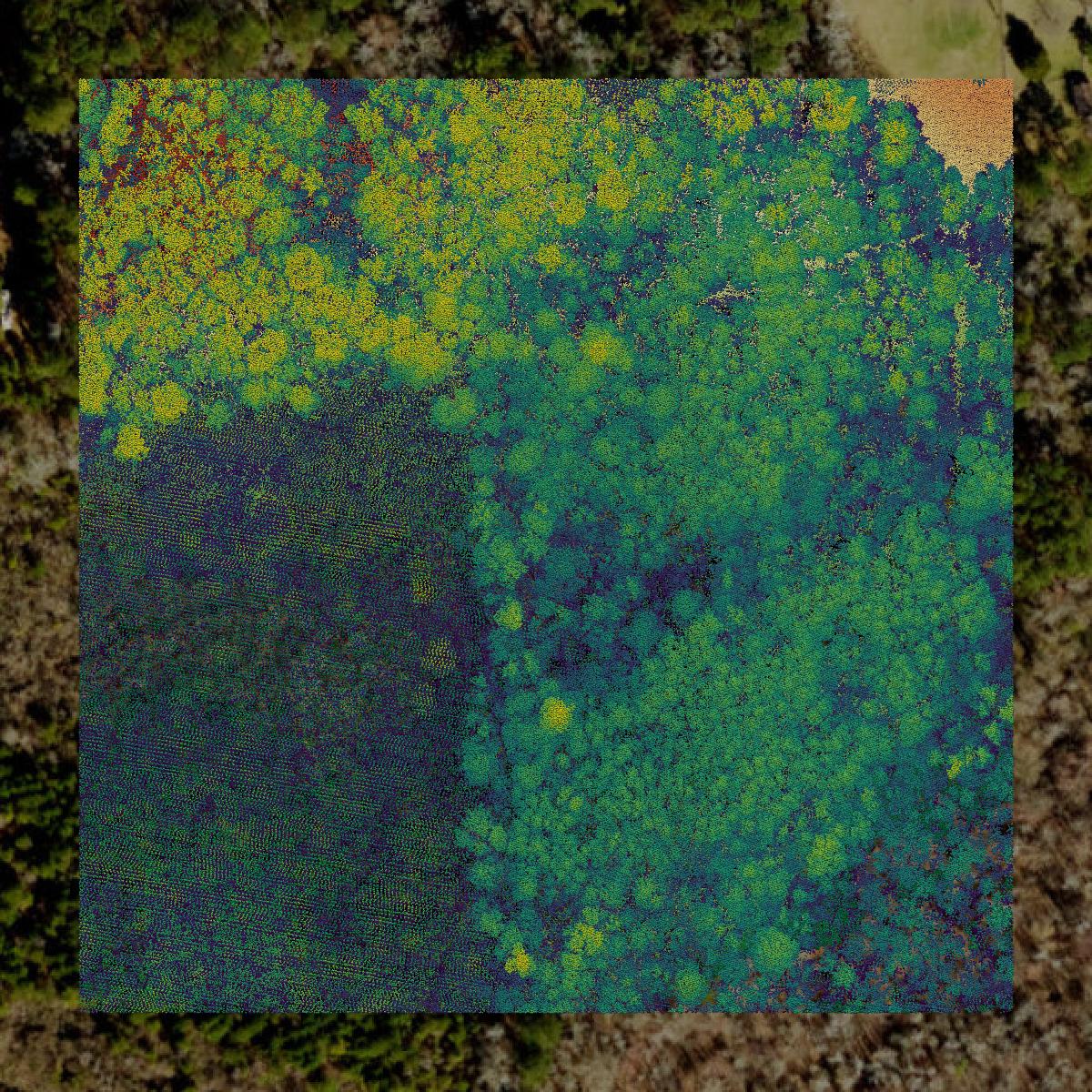 This image shows a LiDAR point cloud in Bladen County created using GIS data in Equator.