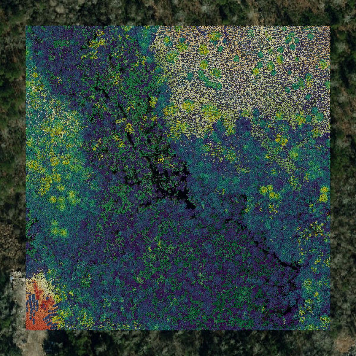 This image shows a LiDAR point cloud in Brunswick County created using GIS data in Equator.