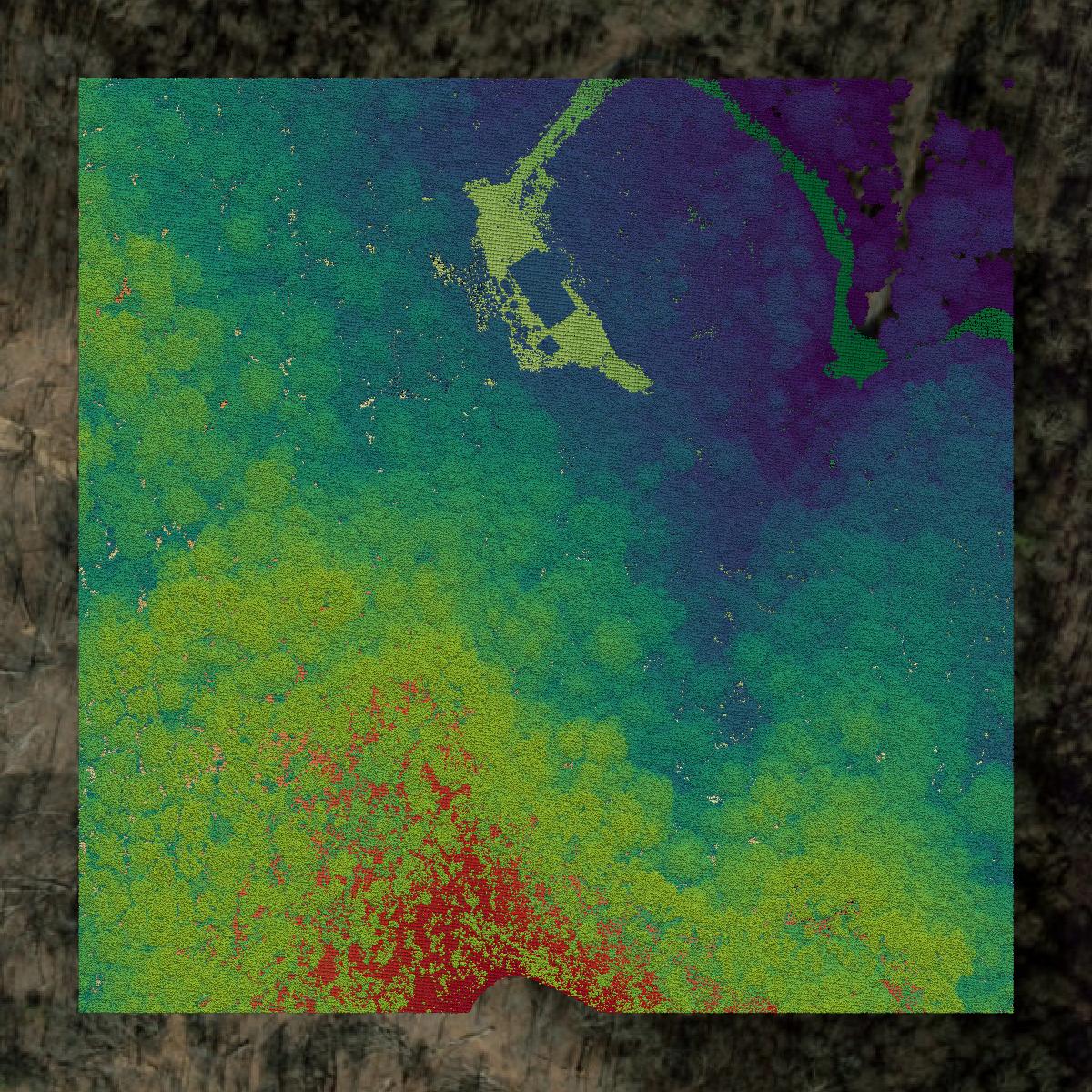 This image shows a LiDAR point cloud in Buncombe County created using GIS data in Equator.