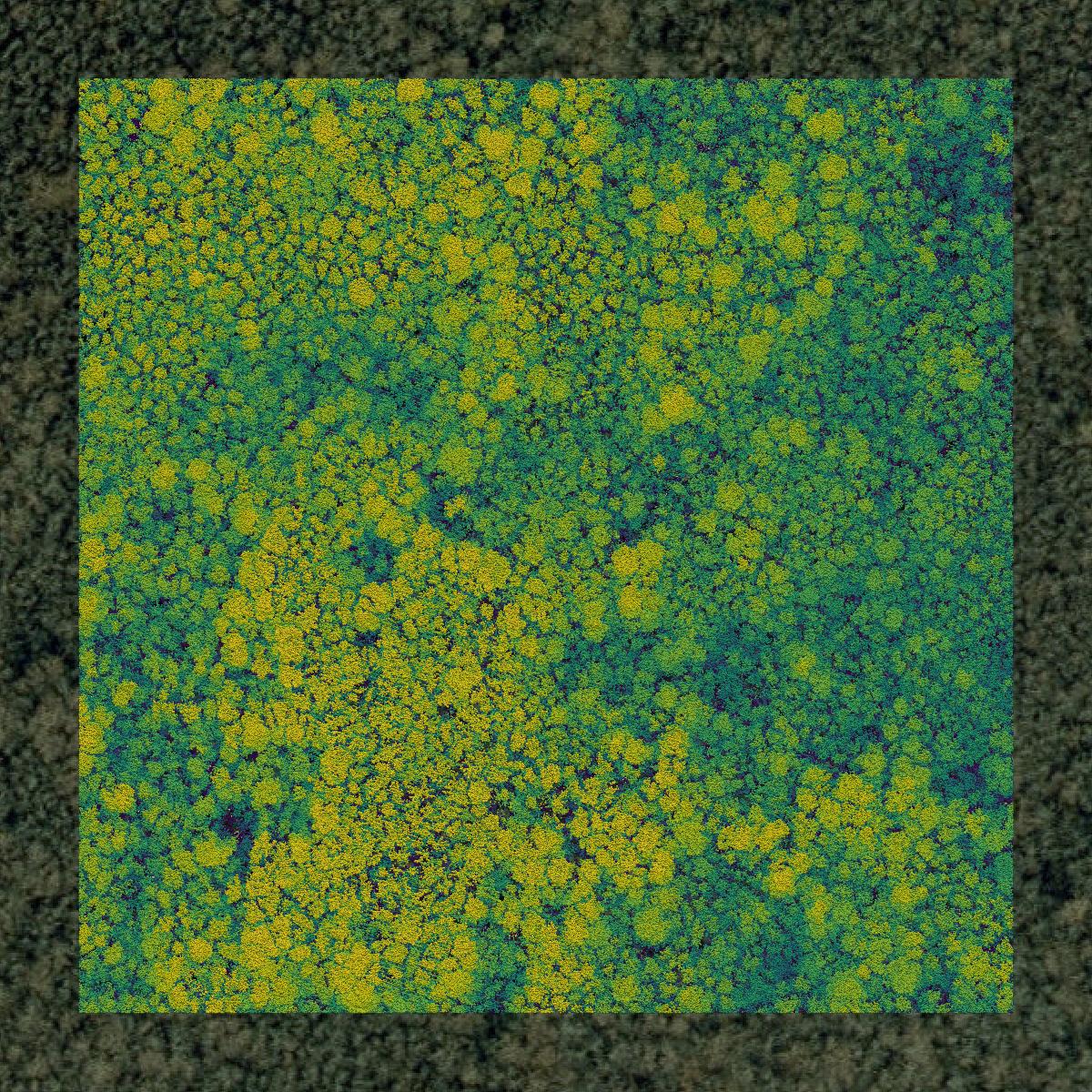 This image shows a LiDAR point cloud in Camden County created using GIS data in Equator.
