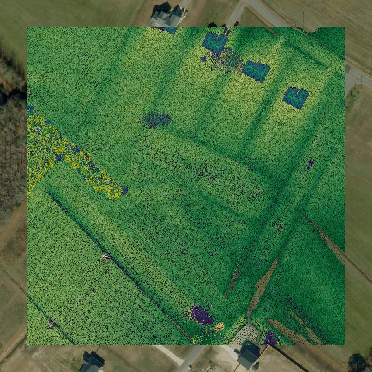 This image shows a LiDAR point cloud in Camden County created using GIS data in Equator.