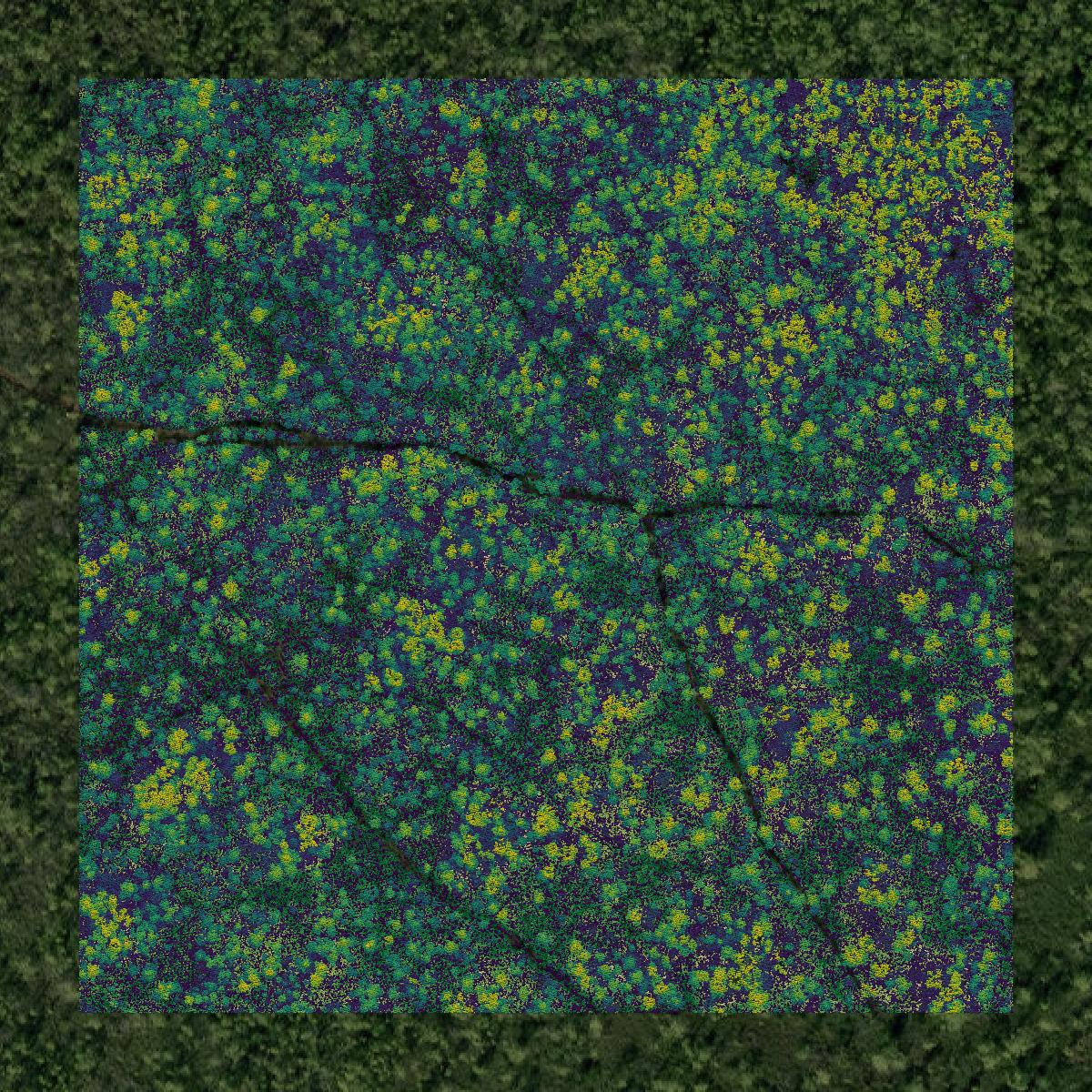 This image shows a LiDAR point cloud in Carteret County created using GIS data in Equator.