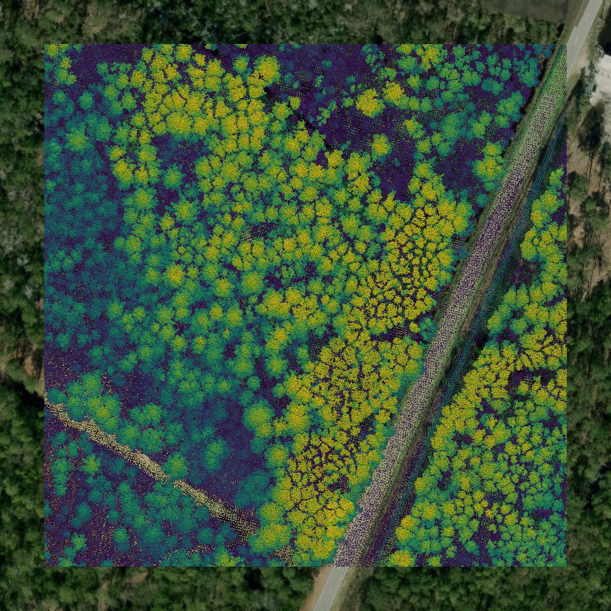 This image shows a LiDAR point cloud in Carteret County created using GIS data in Equator.