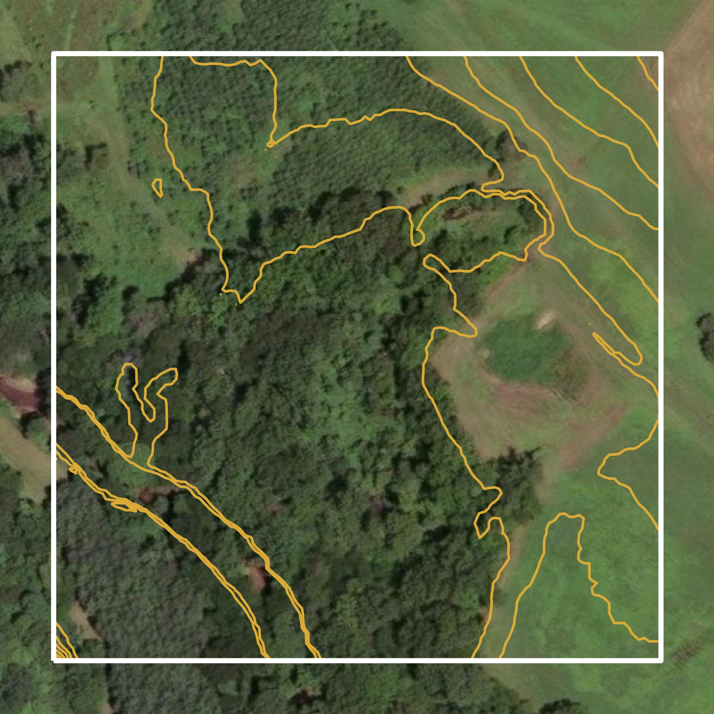 This image shows a contour map in Caswell County created using GIS data in Equator.