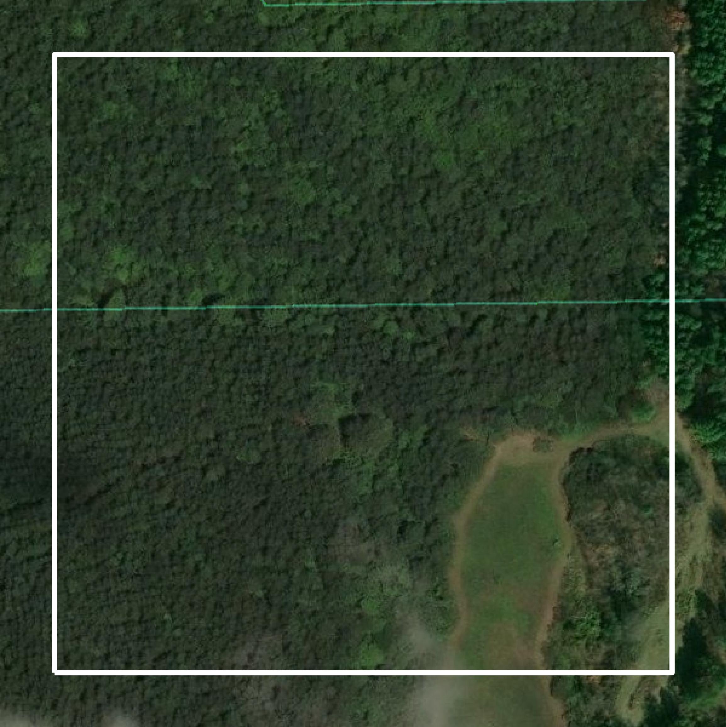 This image shows parcel and building data in Caswell County created using GIS data in Equator.