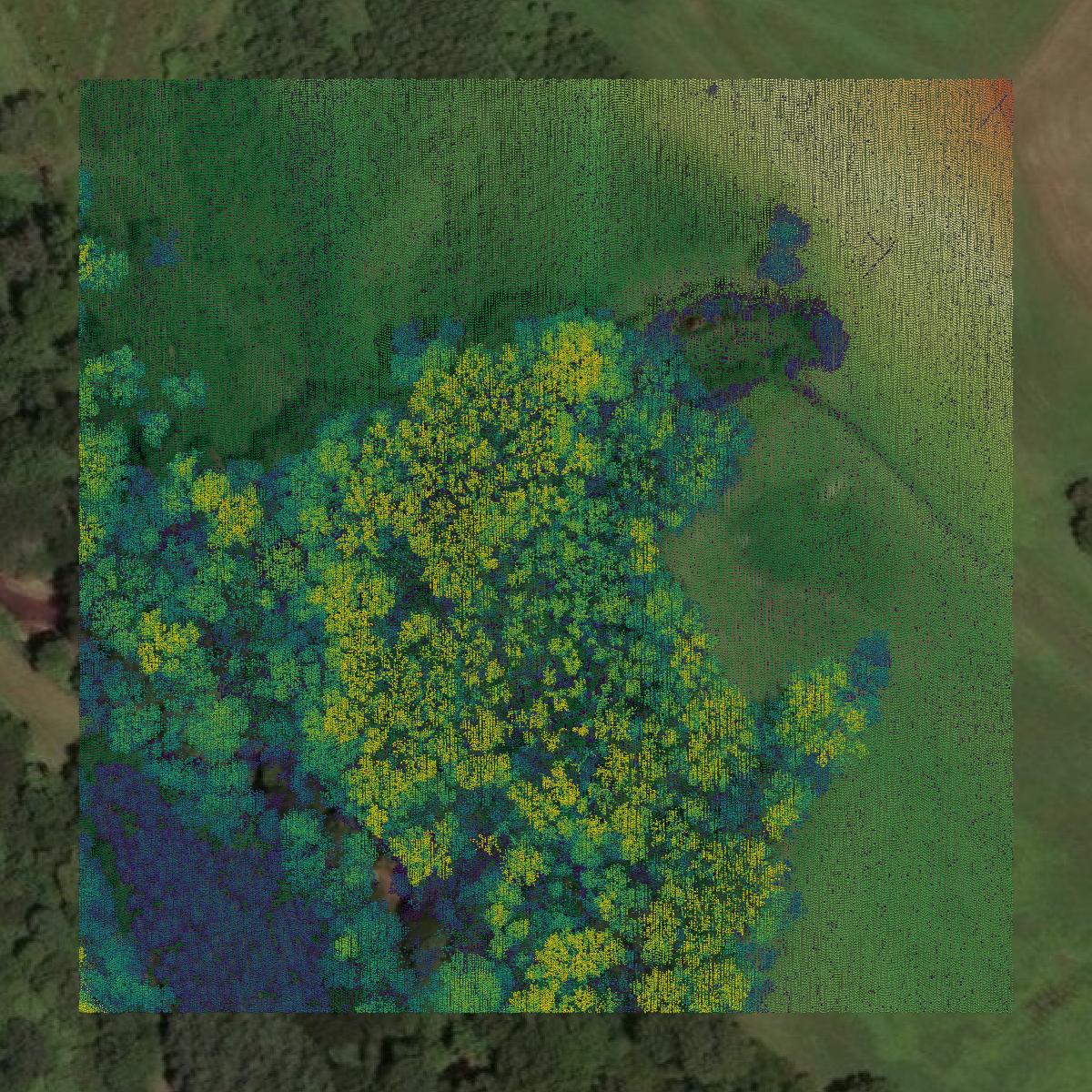 This image shows a LiDAR point cloud in Caswell County created using GIS data in Equator.