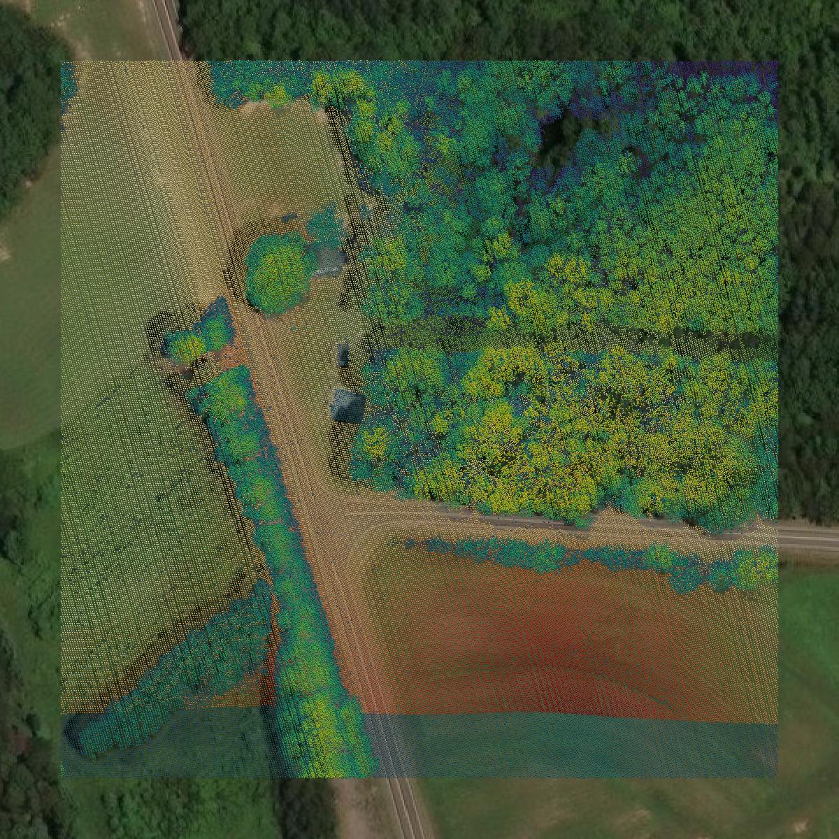 This image shows a LiDAR point cloud in Caswell County created using GIS data in Equator.