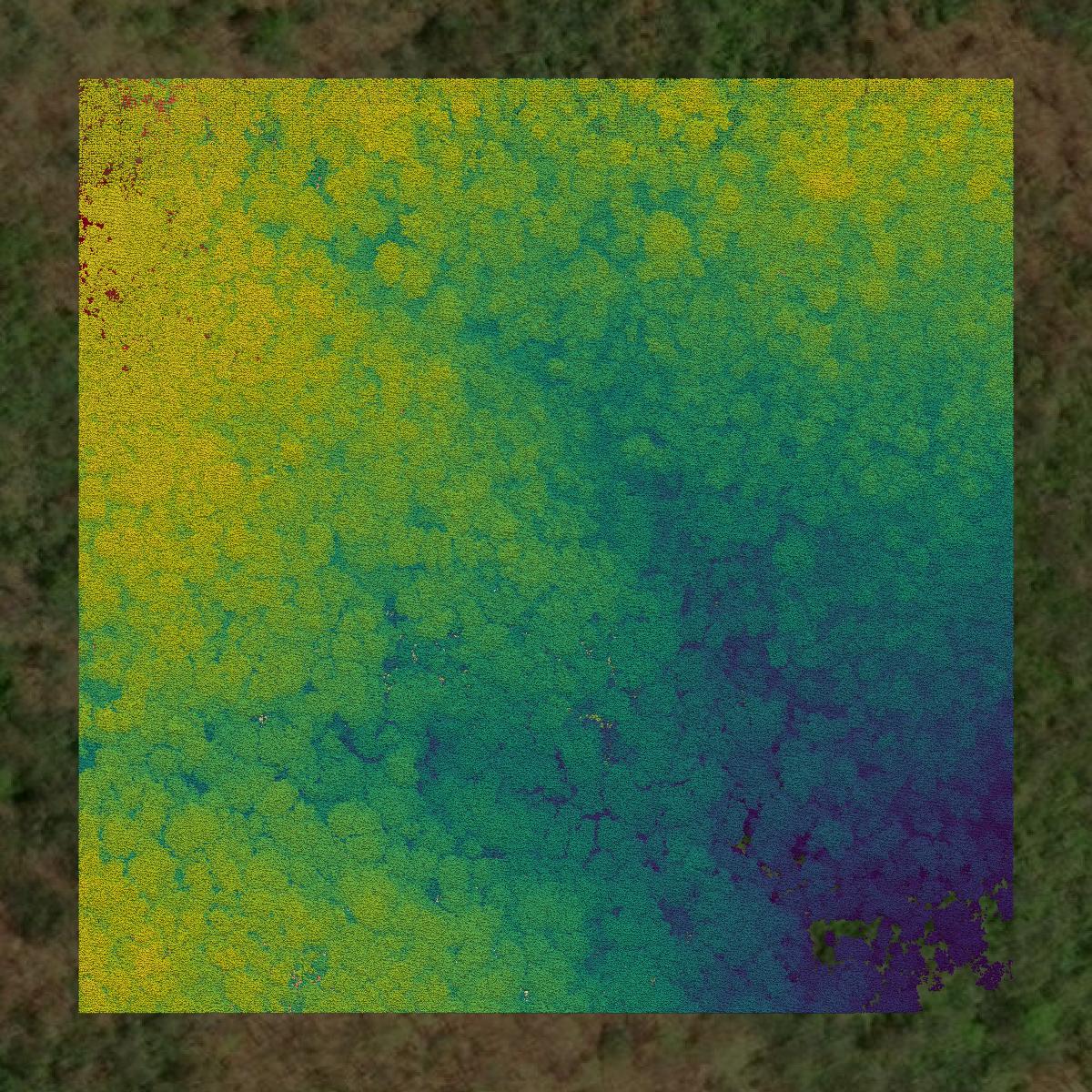 This image shows a LiDAR point cloud in Cherokee County created using GIS data in Equator.