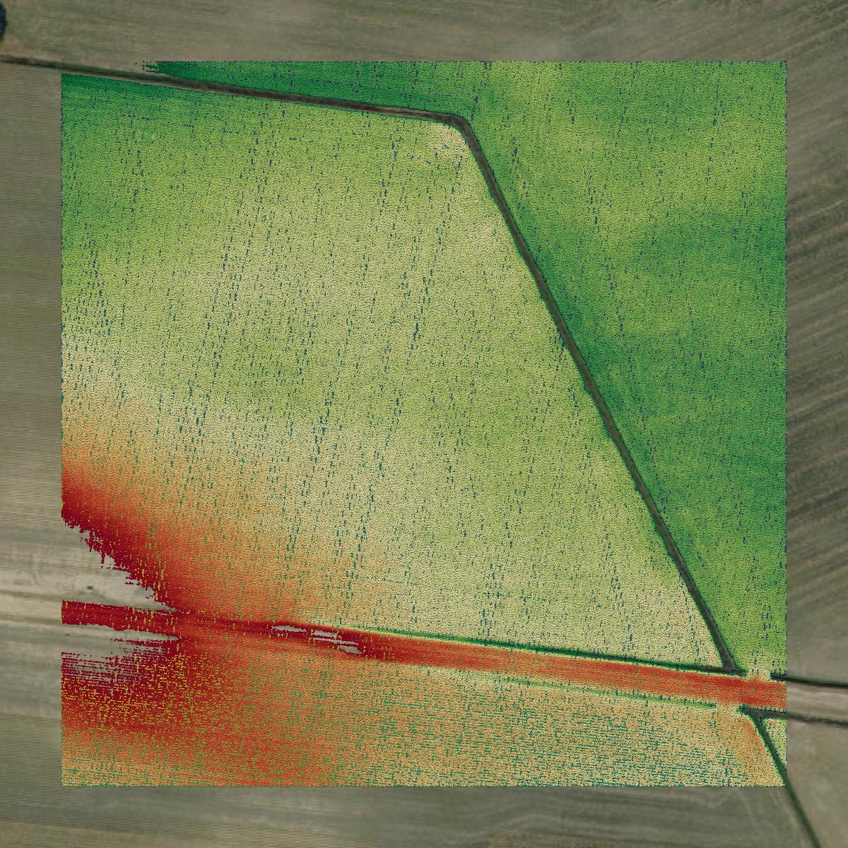 This image shows a LiDAR point cloud in Chowan County created using GIS data in Equator.