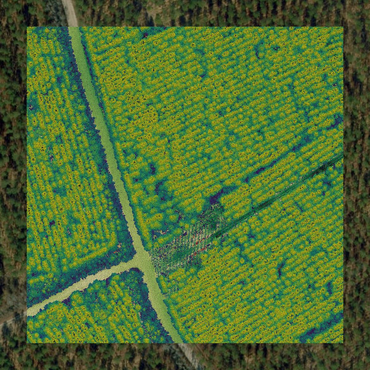 This image shows a LiDAR point cloud in Chowan County created using GIS data in Equator.