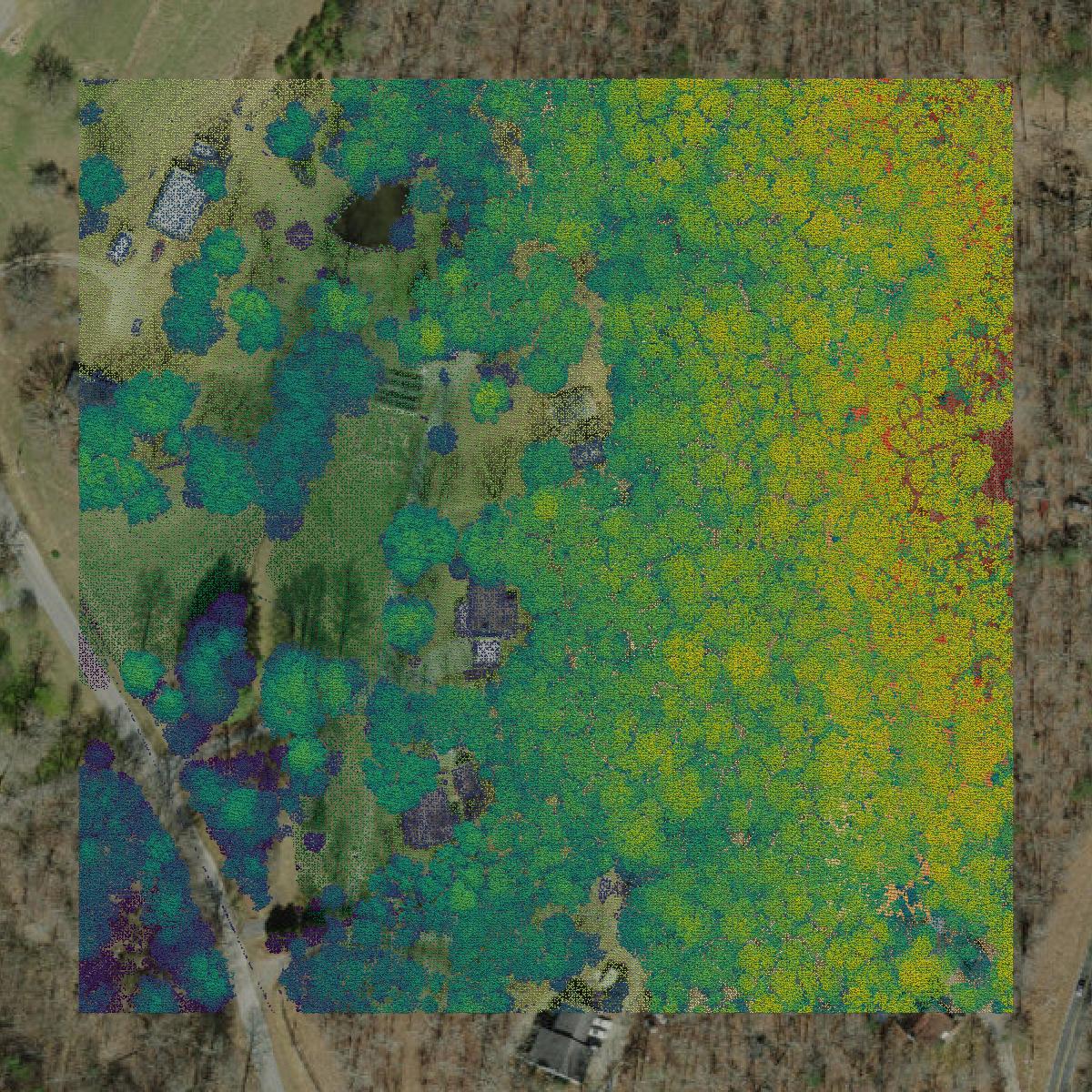 This image shows a LiDAR point cloud in Clay County created using GIS data in Equator.