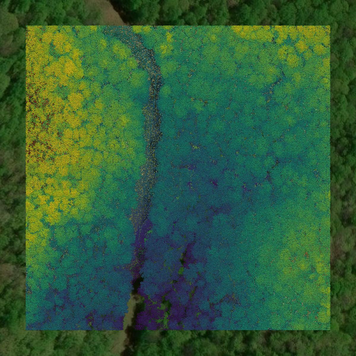 This image shows a LiDAR point cloud in Clay County created using GIS data in Equator.