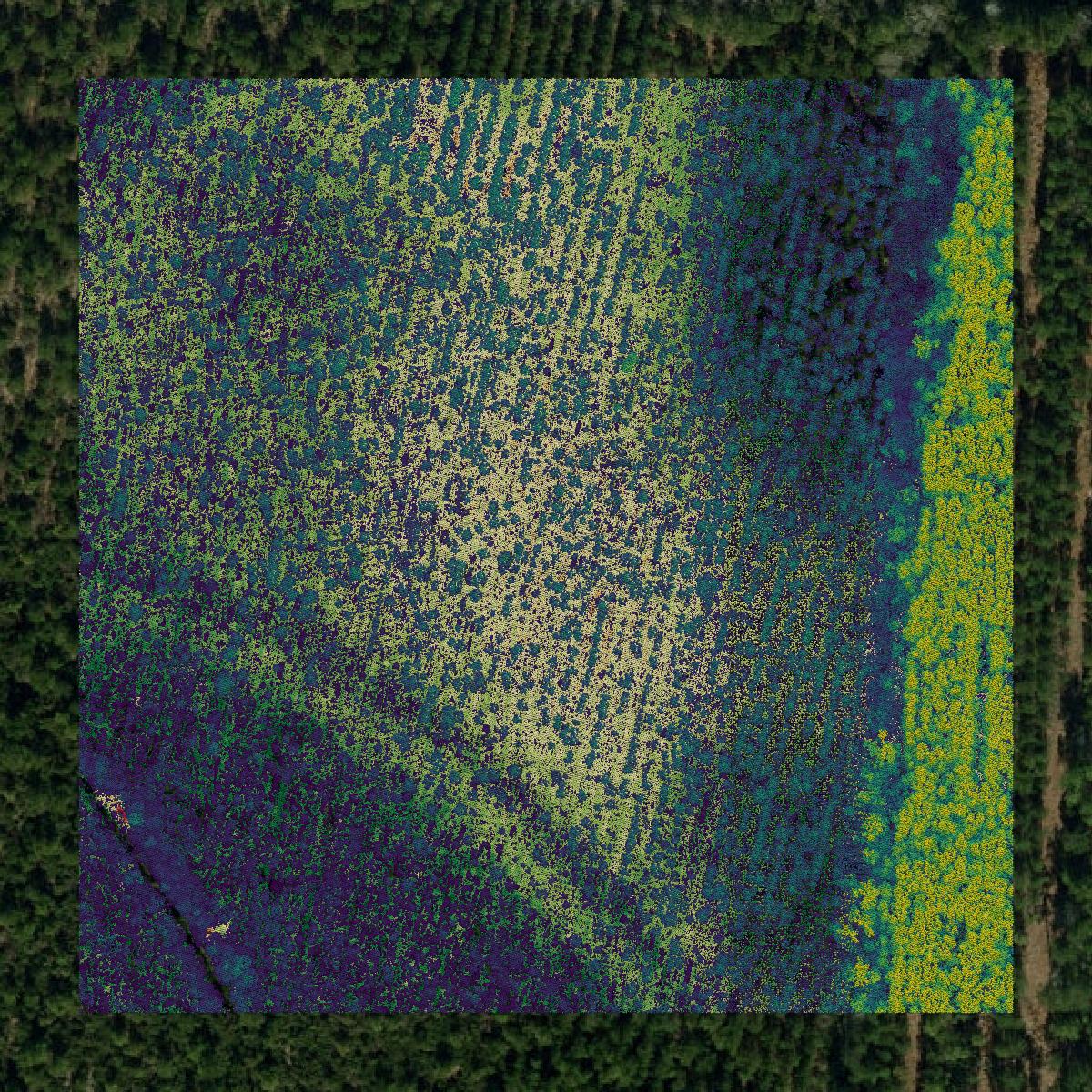 This image shows a LiDAR point cloud in Columbus County created using GIS data in Equator.
