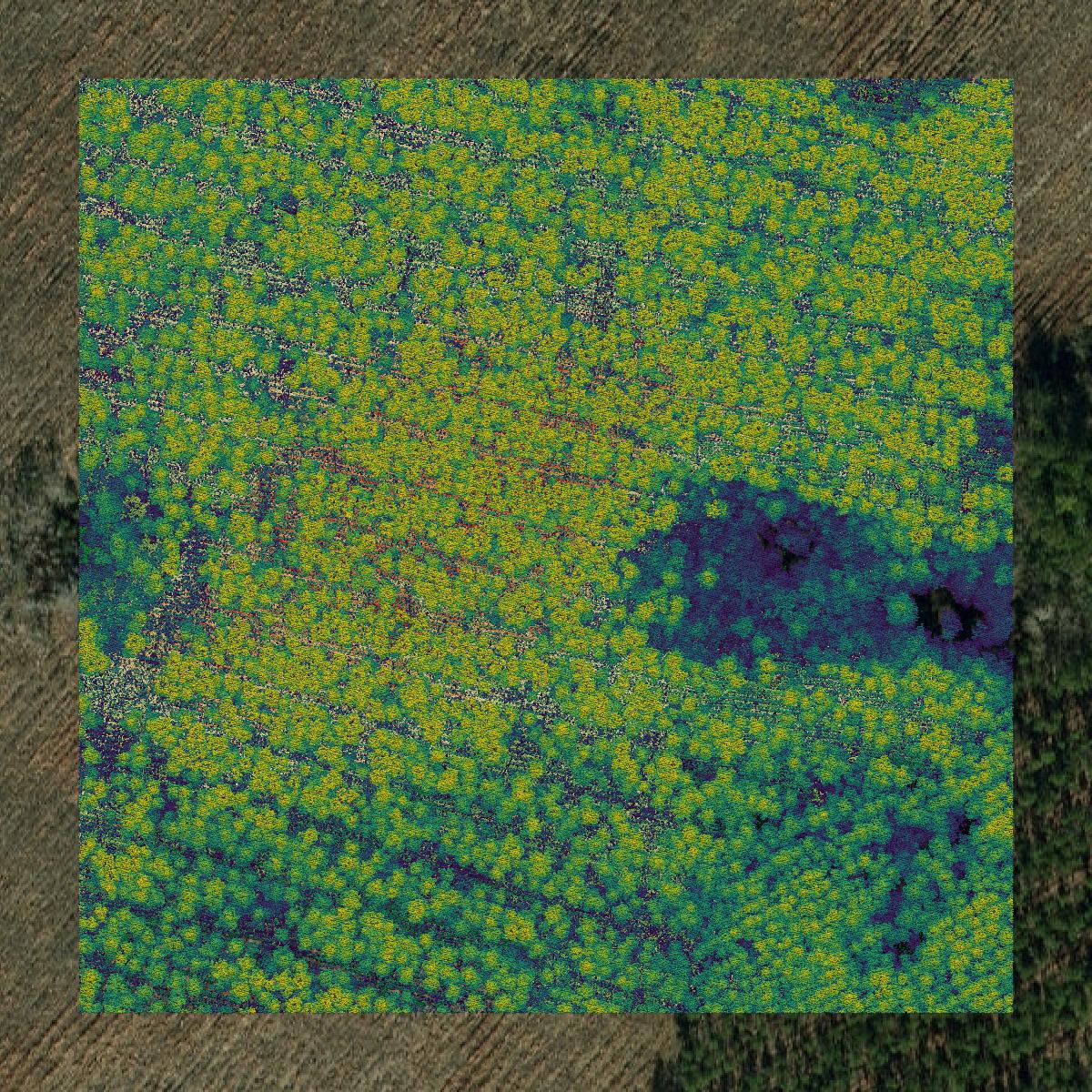 This image shows a LiDAR point cloud in Columbus County created using GIS data in Equator.
