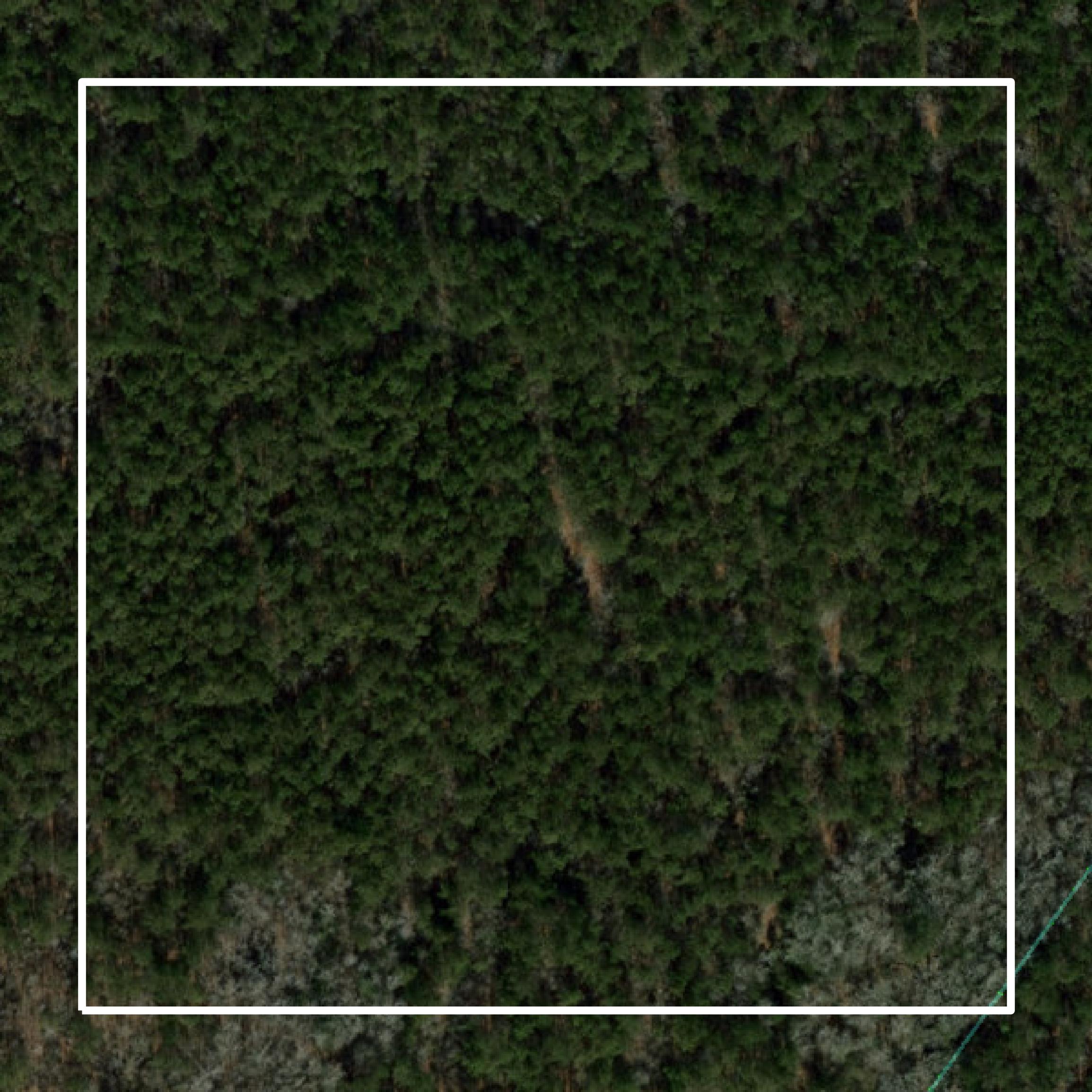 This image shows parcel and building data in Craven County created using GIS data in Equator.