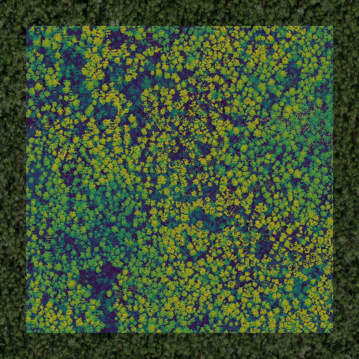 This image shows a LiDAR point cloud in Craven County created using GIS data in Equator.